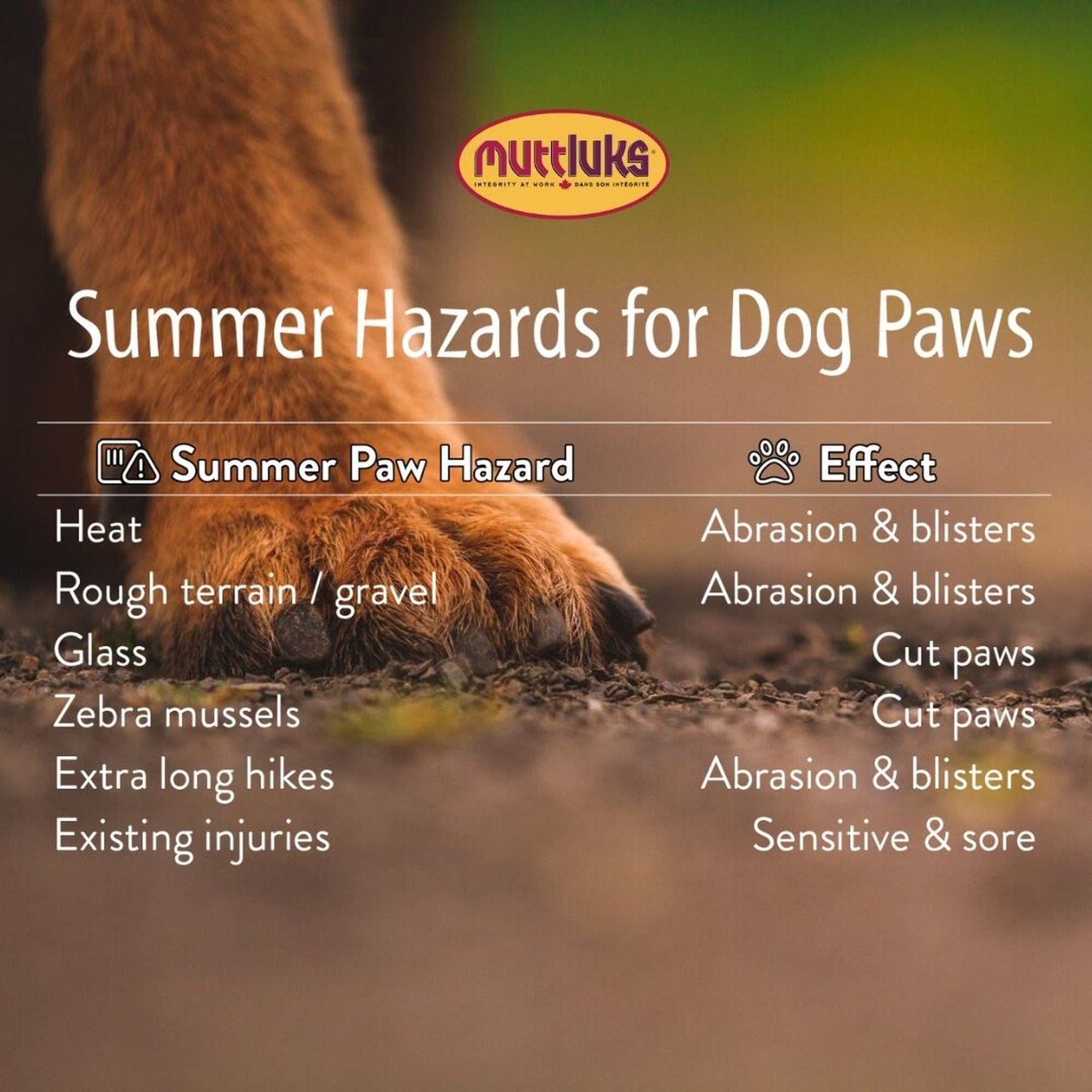 Original All-Weather Muttluks - Yellow (set of 4) - Image 3