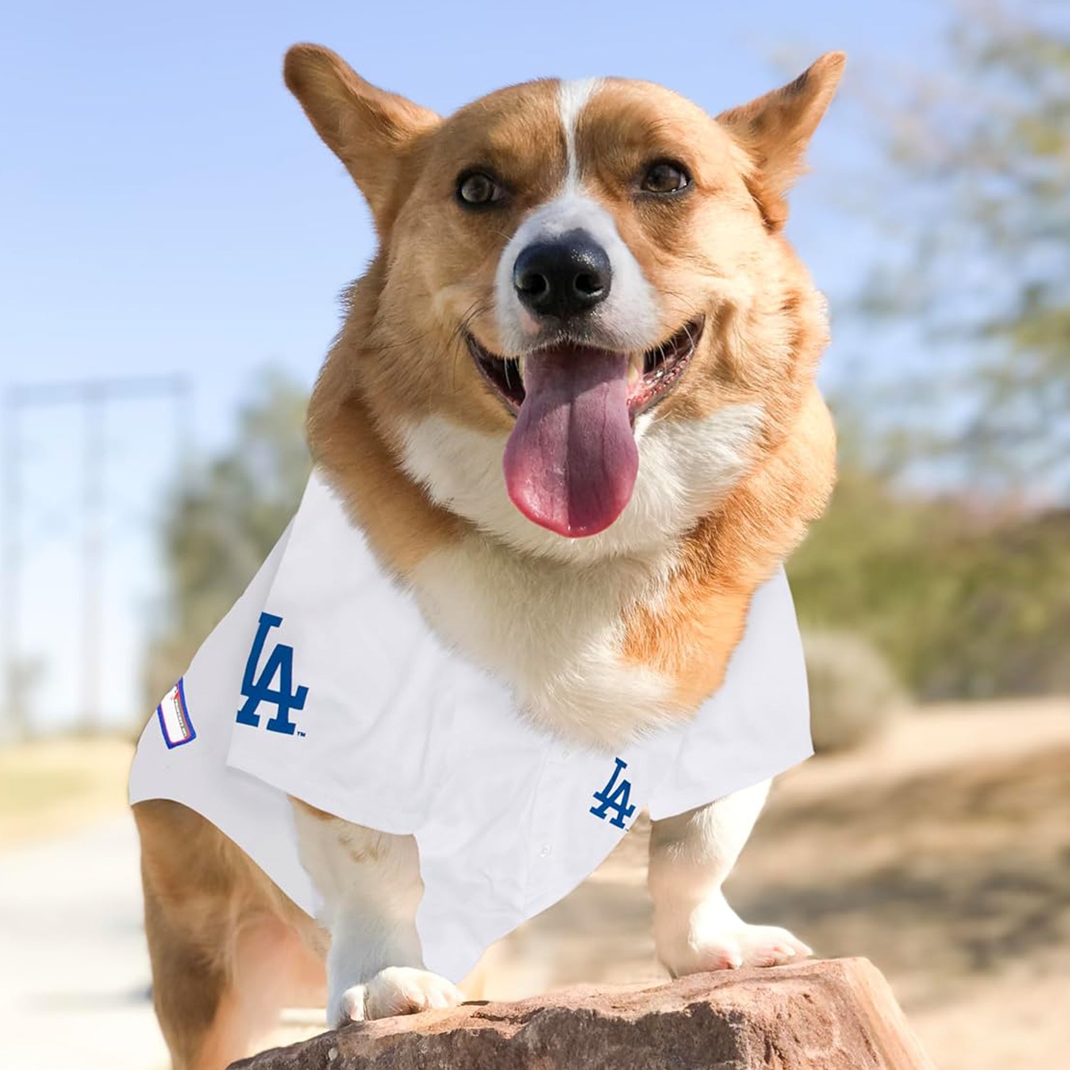 Los Angeles Dodgers Dog Jersey - White - Image 3