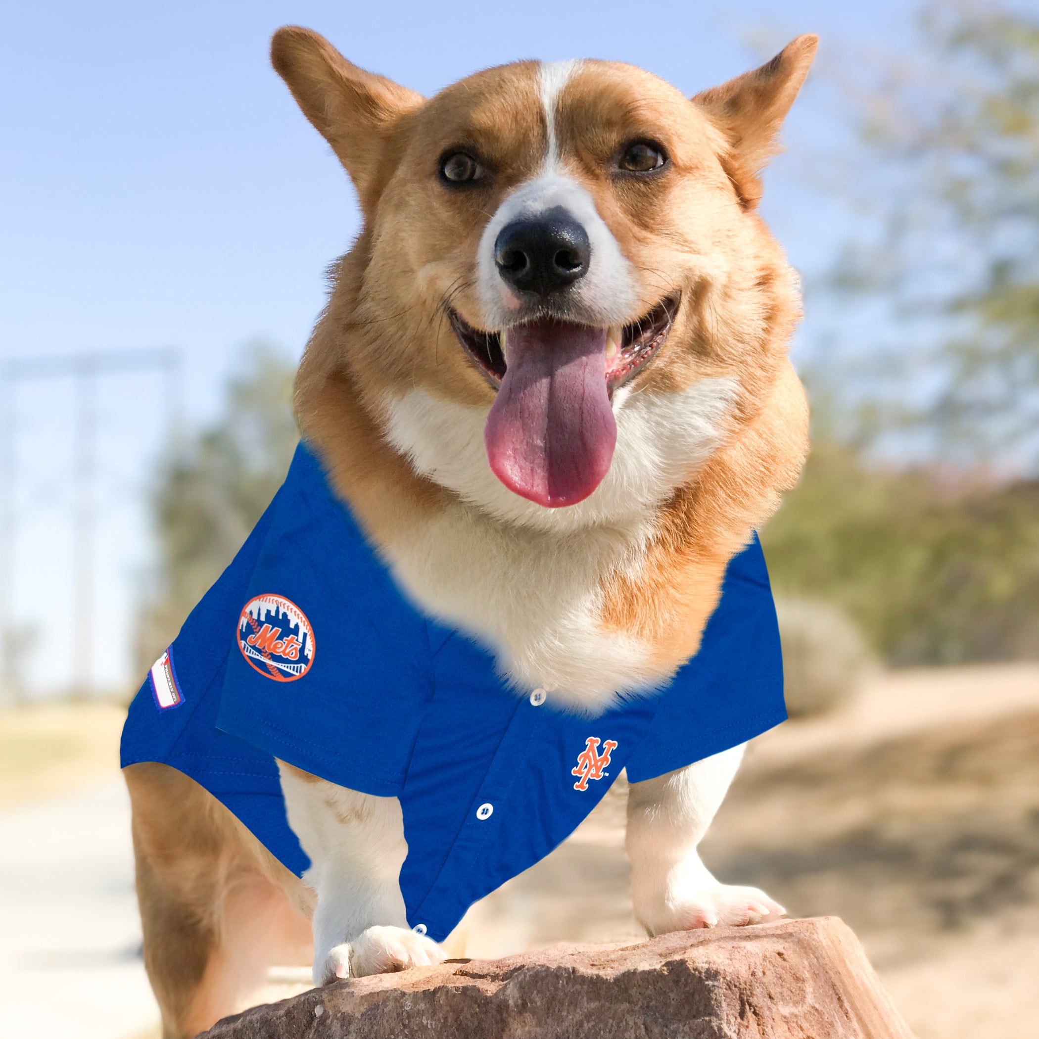 New York Mets Dog Jersey - Image 2