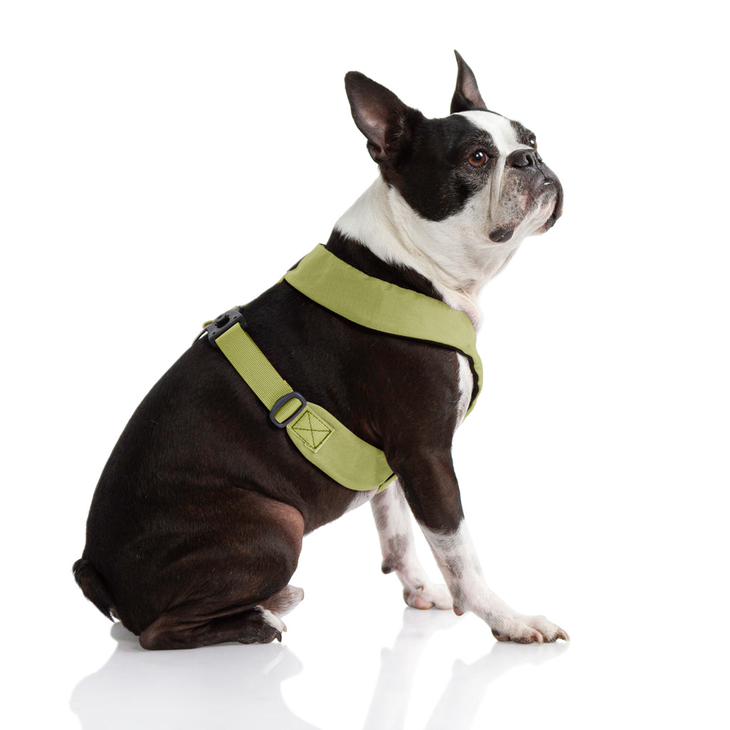 Comfort X Dual Snap Harness (#04205) - Image 16