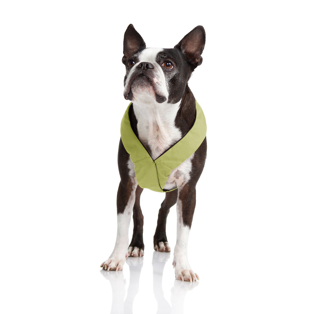 Comfort X Dual Snap Harness (#04205) - Image 17
