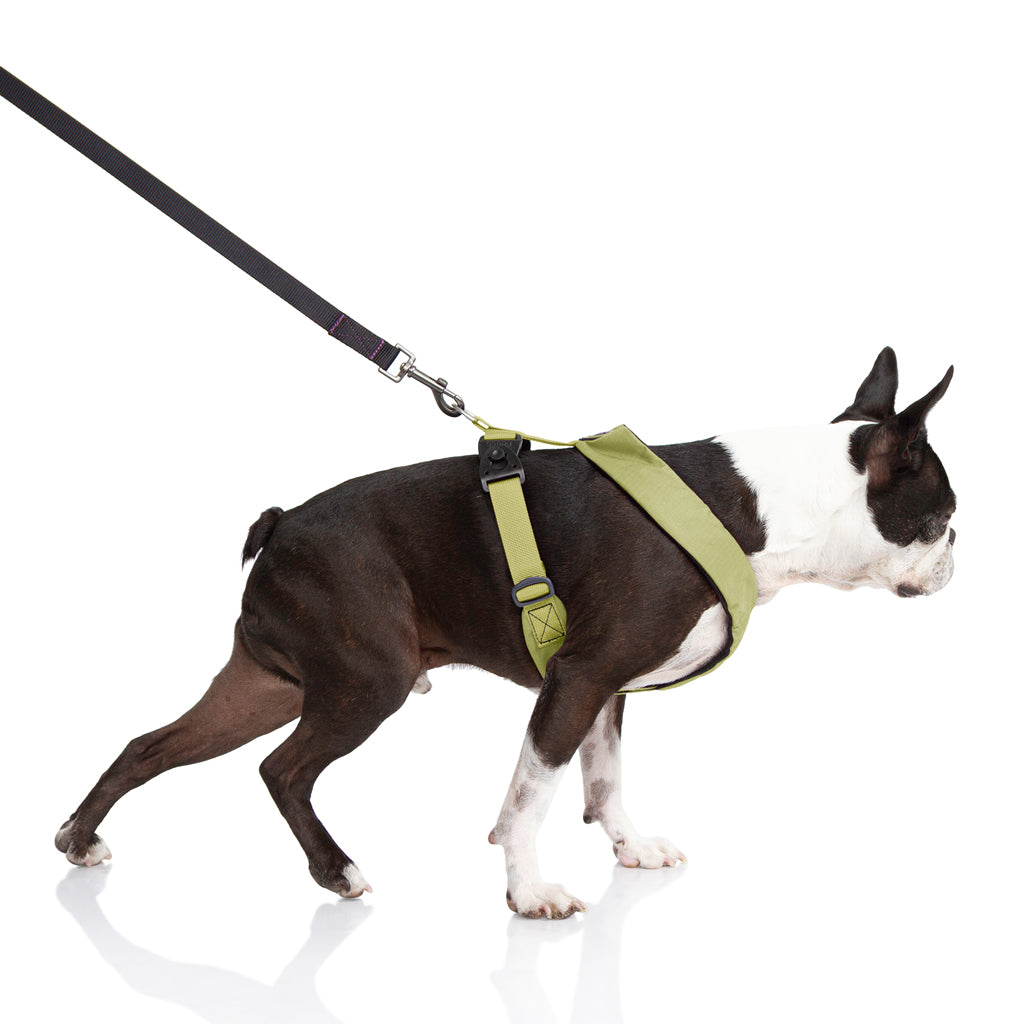 Comfort X Dual Snap Harness (#04205) - Image 18