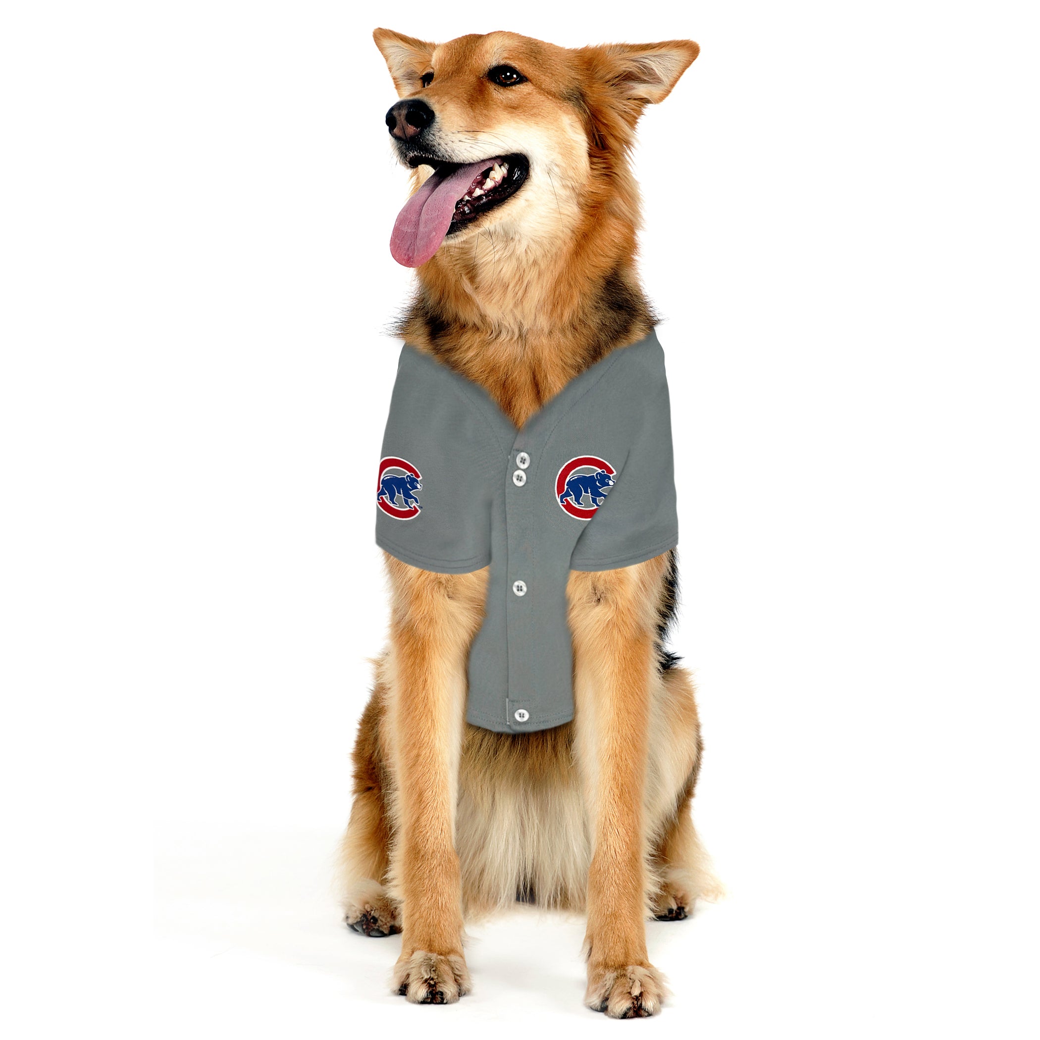 Chicago Cubs Dog Jersey - Image 4