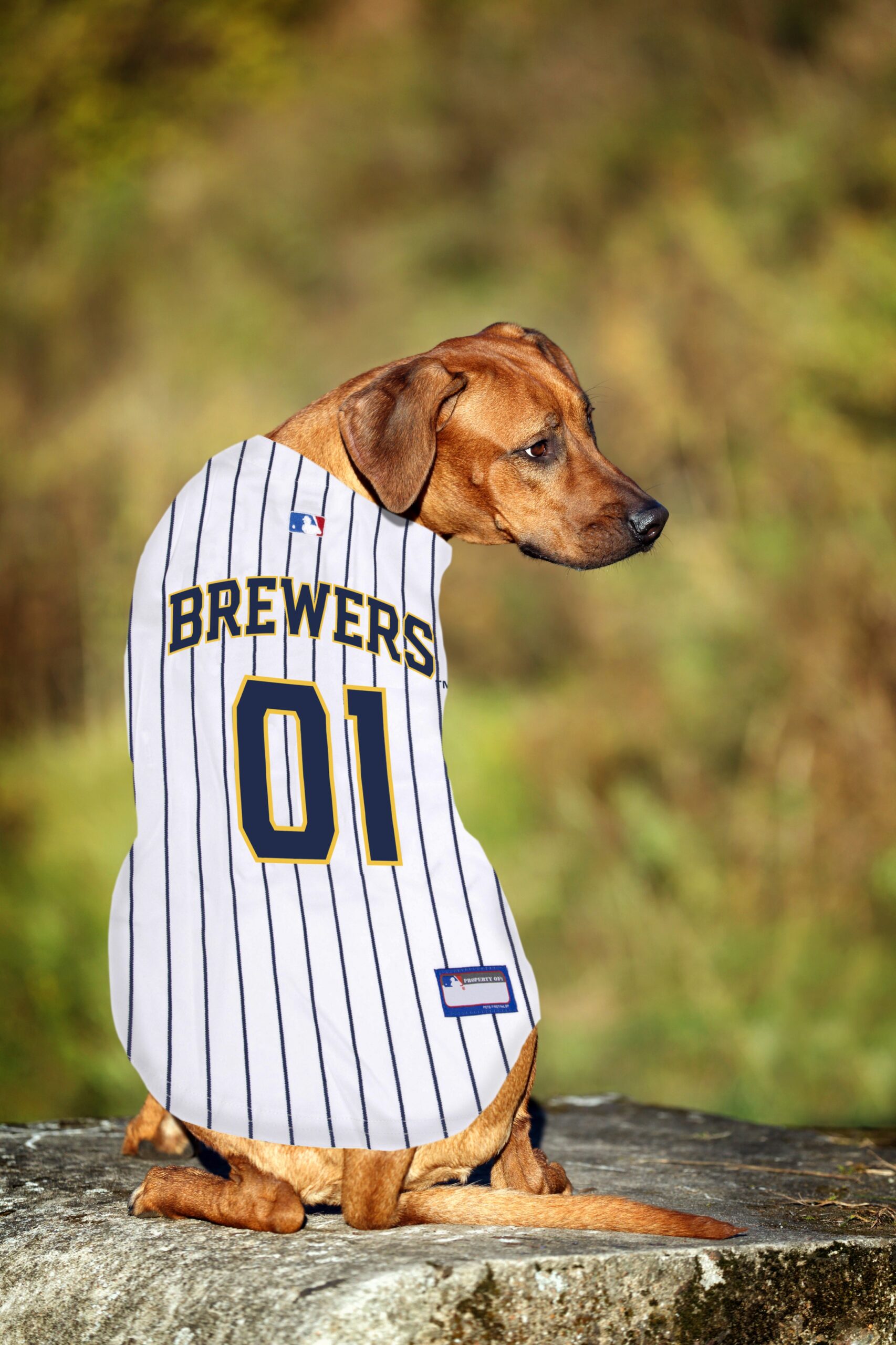 Milwaukee Brewers Dog Jersey - Image 2