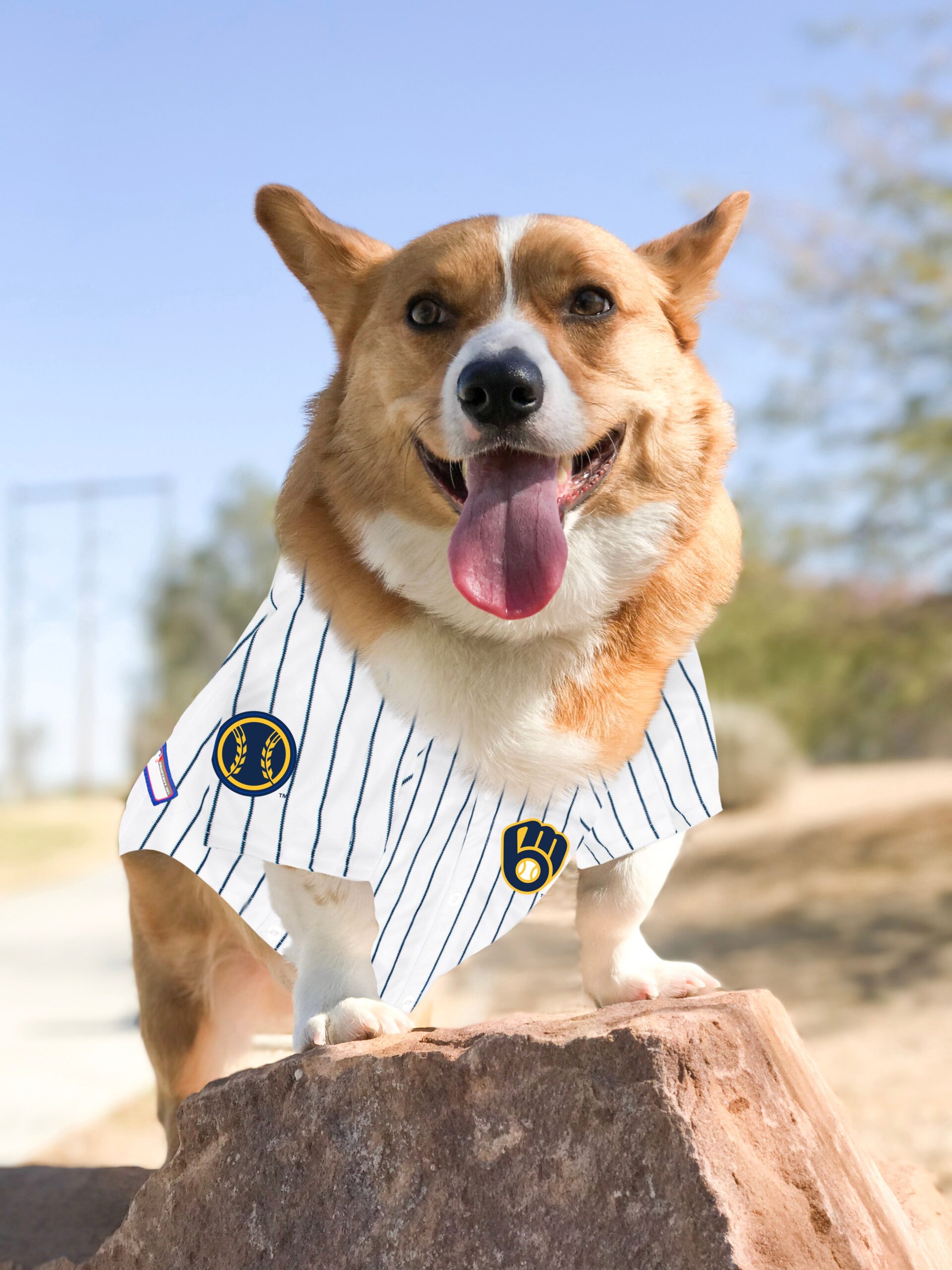 Milwaukee Brewers Dog Jersey