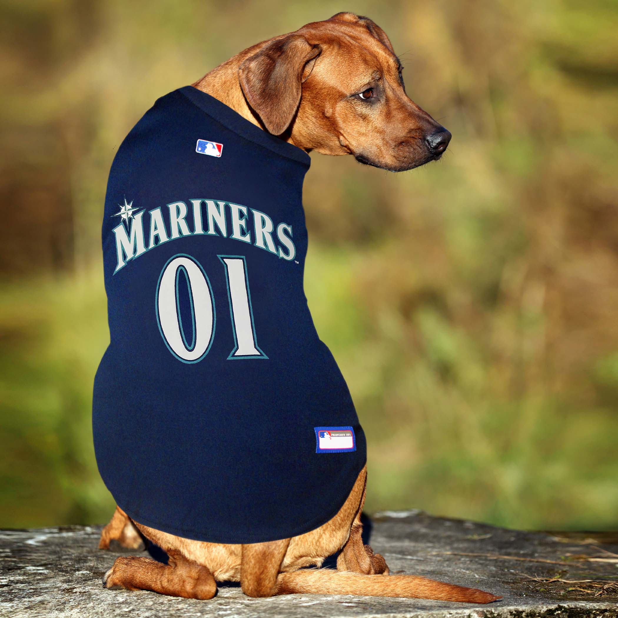 Seattle Mariners Dog Jersey