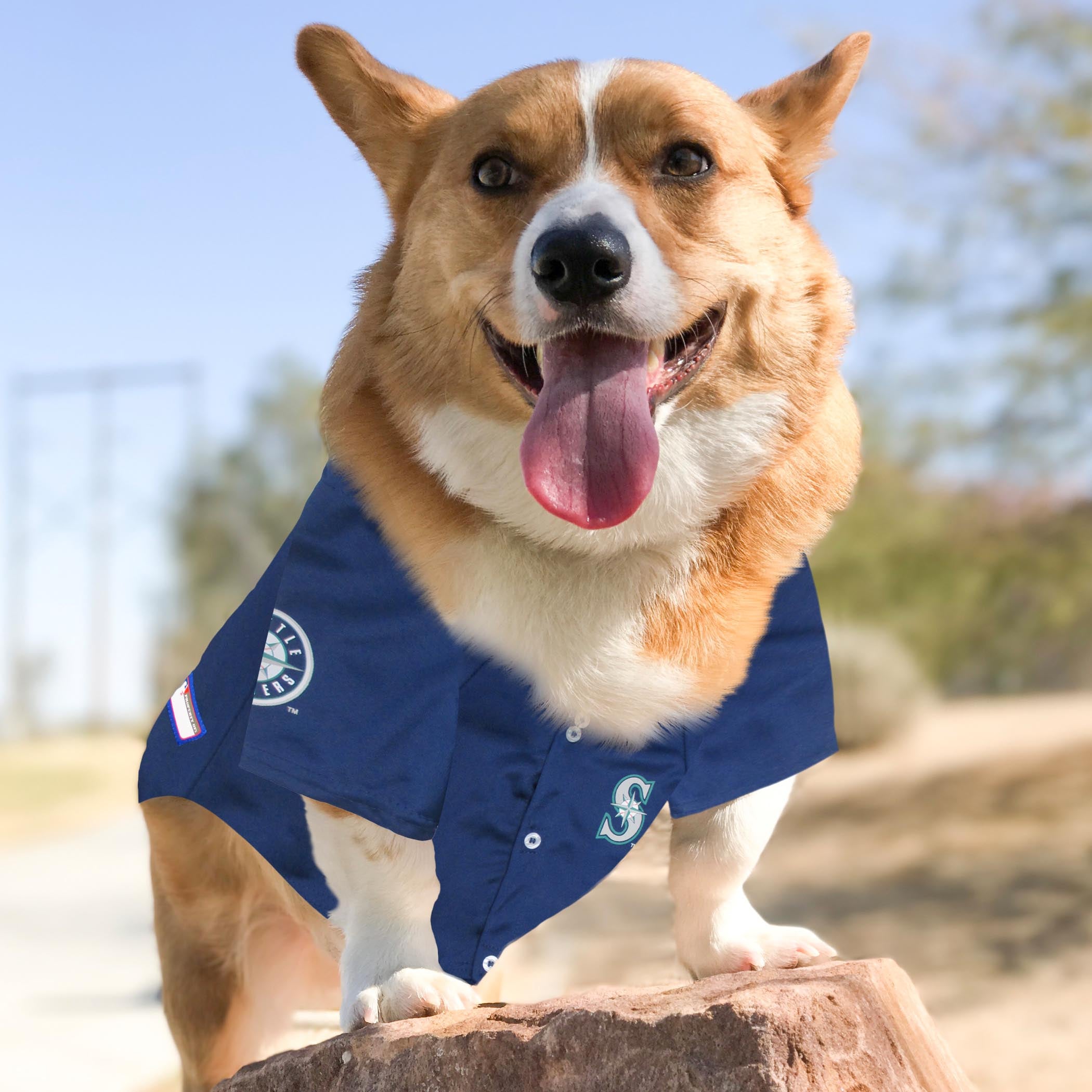 Seattle Mariners Dog Jersey - Image 2