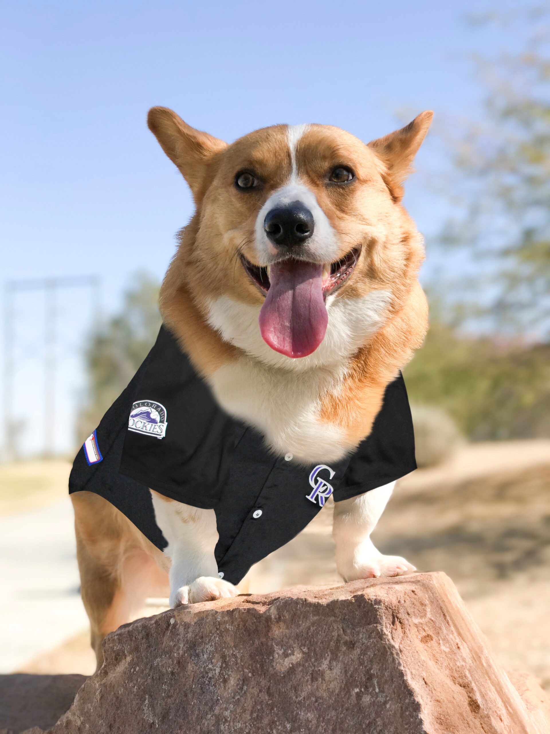 Colorado Rockies Dog Jersey - Image 2
