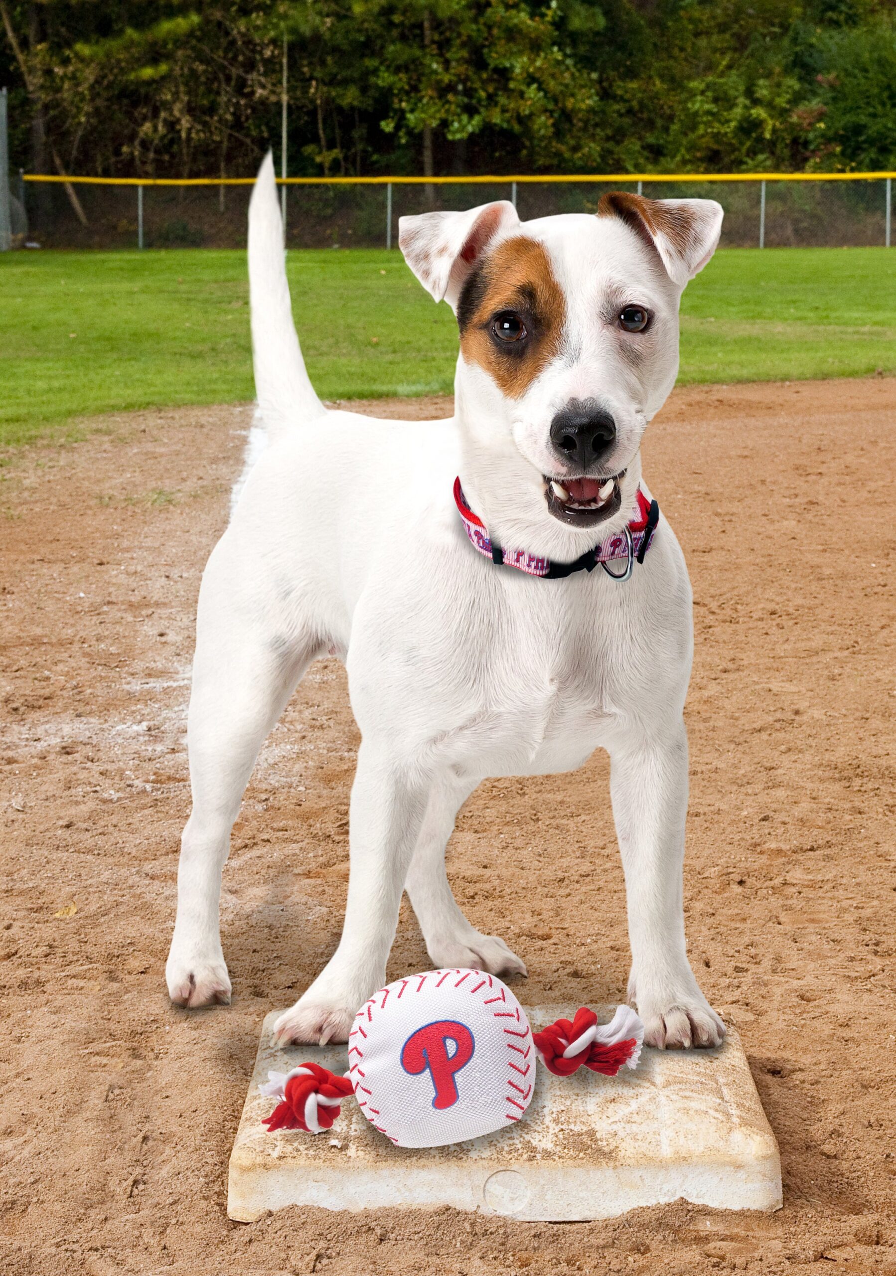Philadelphia Phillies Baseball Toy - Nylon w/rope