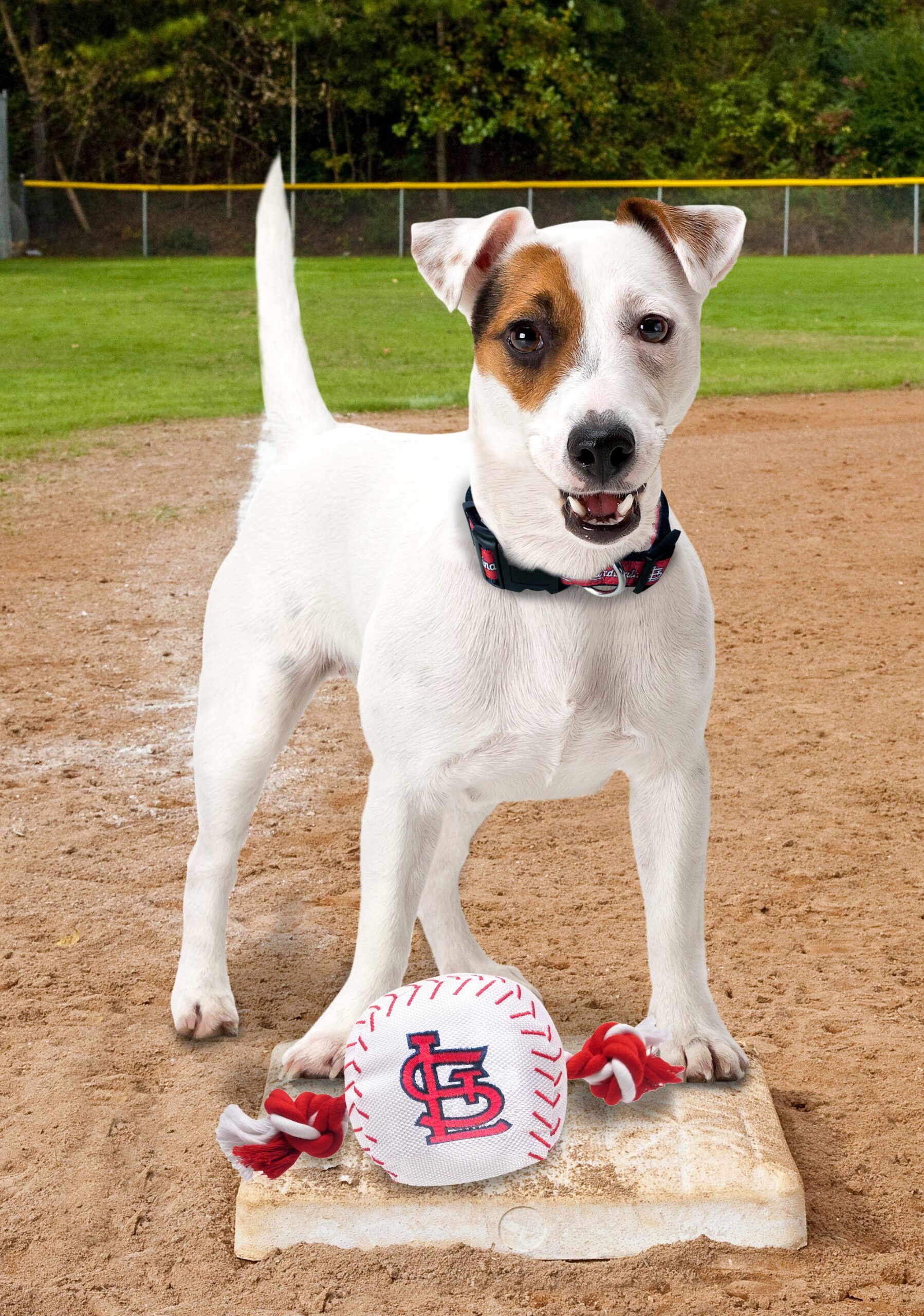St. Louis Cardinals Baseball Toy - Nylon w/rope - Image 2