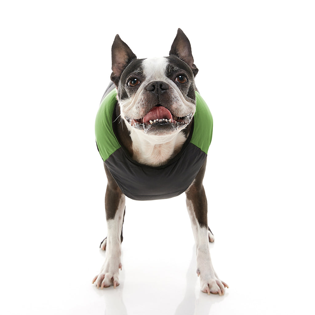 Padded Vest (#74003)