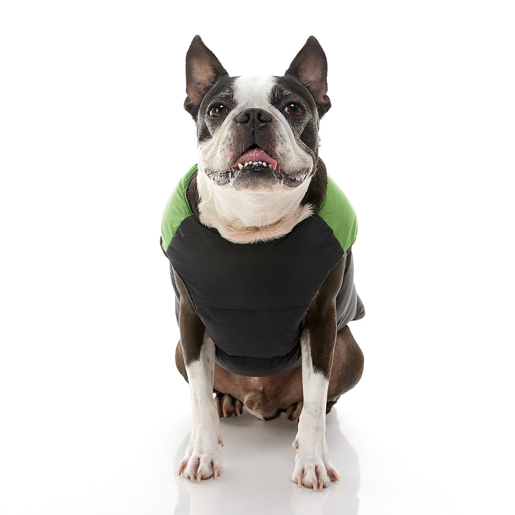 Padded Vest (#74003) - Image 2