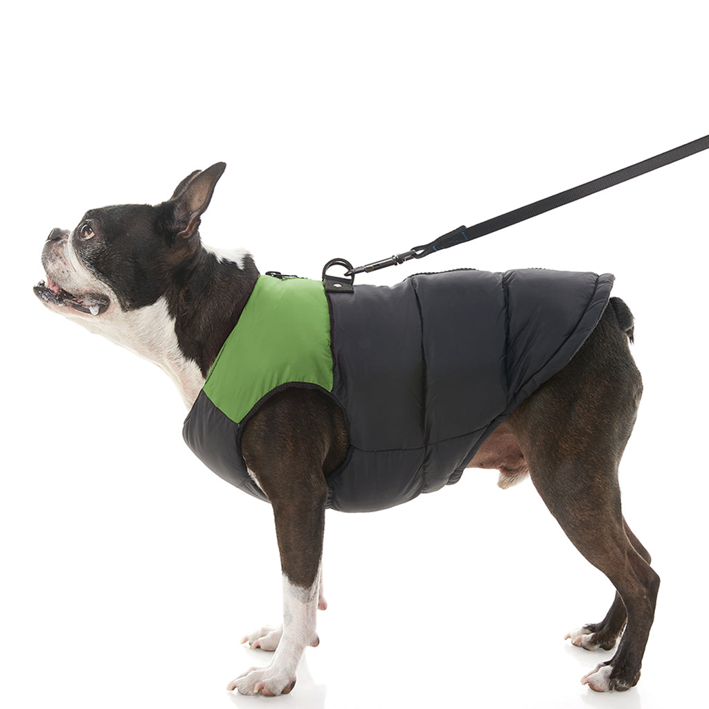 Padded Vest (#74003) - Image 6