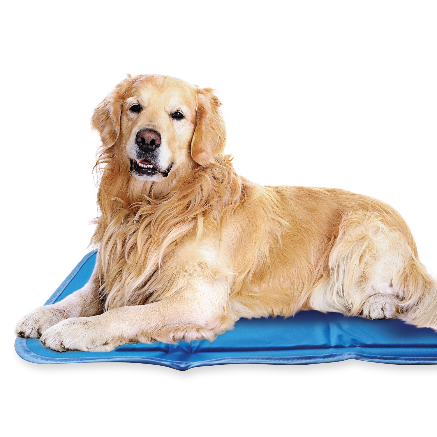 Cool Pet Pad - Image 10