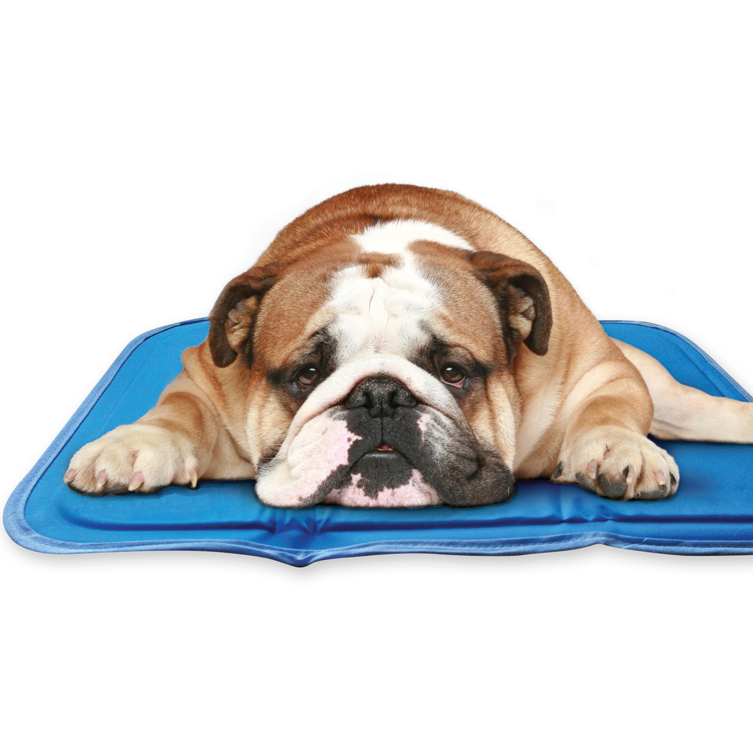 Cool Pet Pad - Image 9