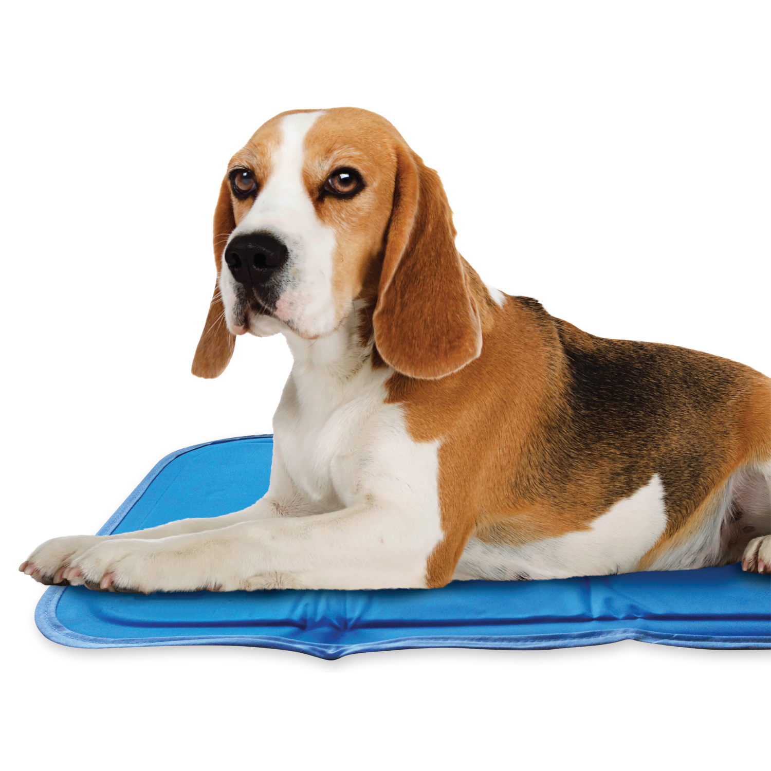 Cool Pet Pad - Image 8