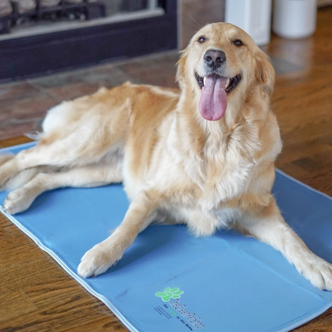 Cool Pet Pad - Image 12
