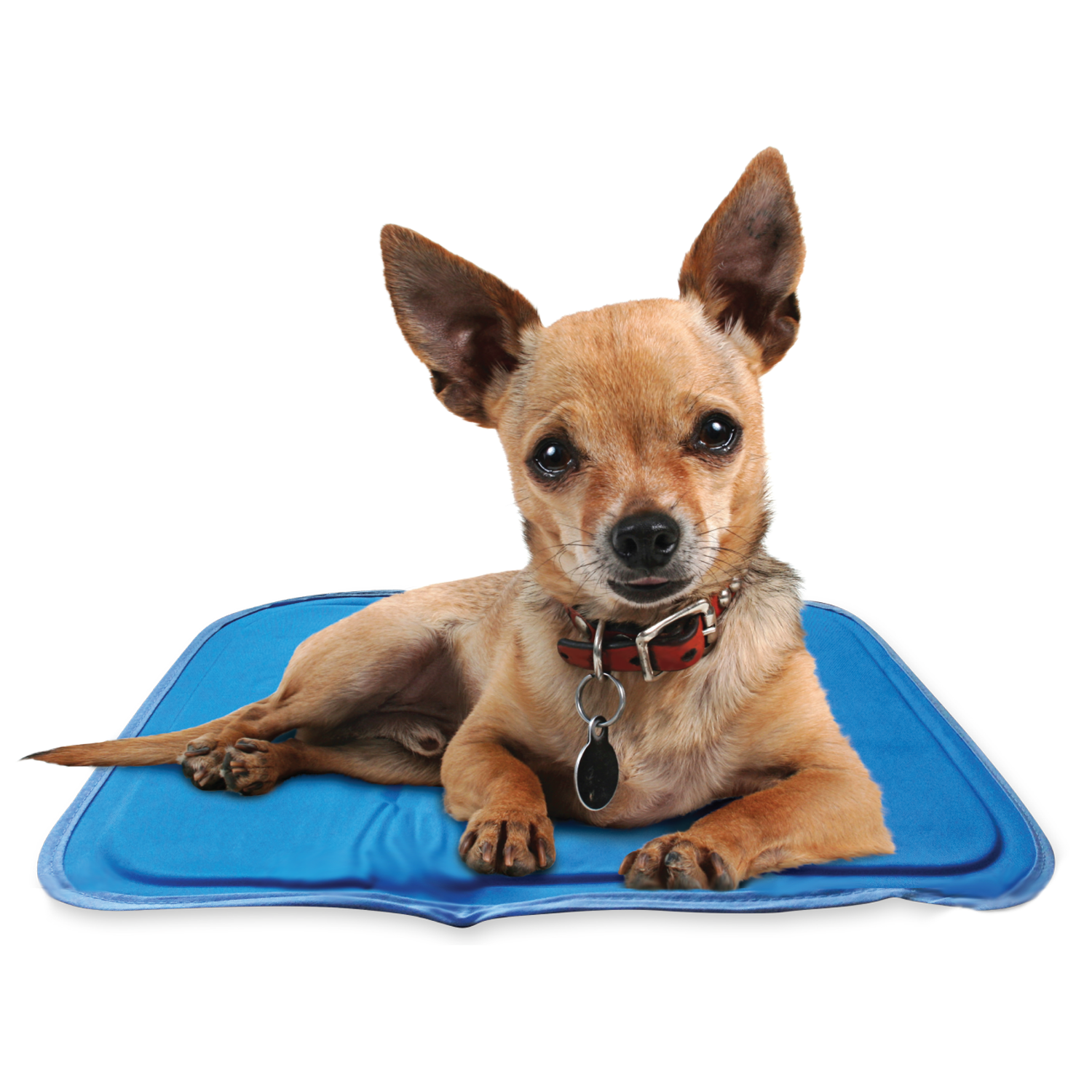 Cool Pet Pad - Image 7