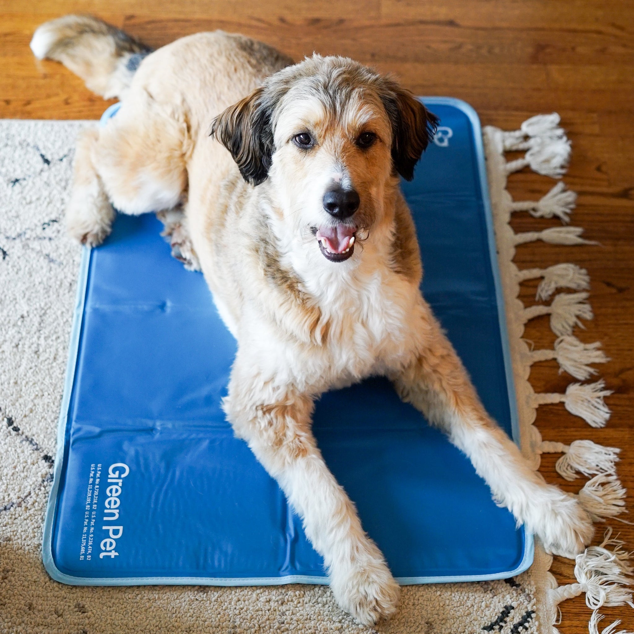 Cool Pet Pad - Image 4