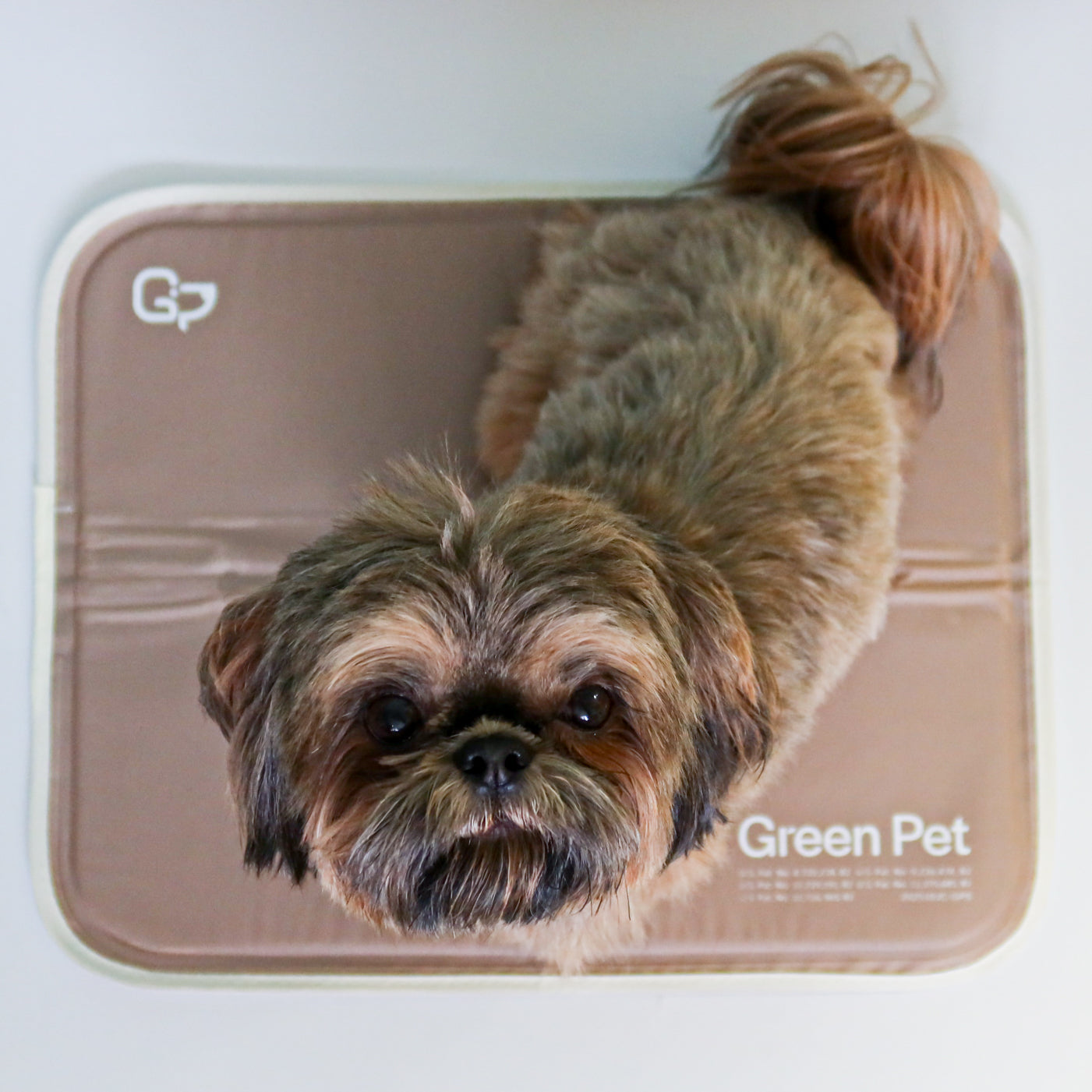 Cool Pet Pad - Image 13