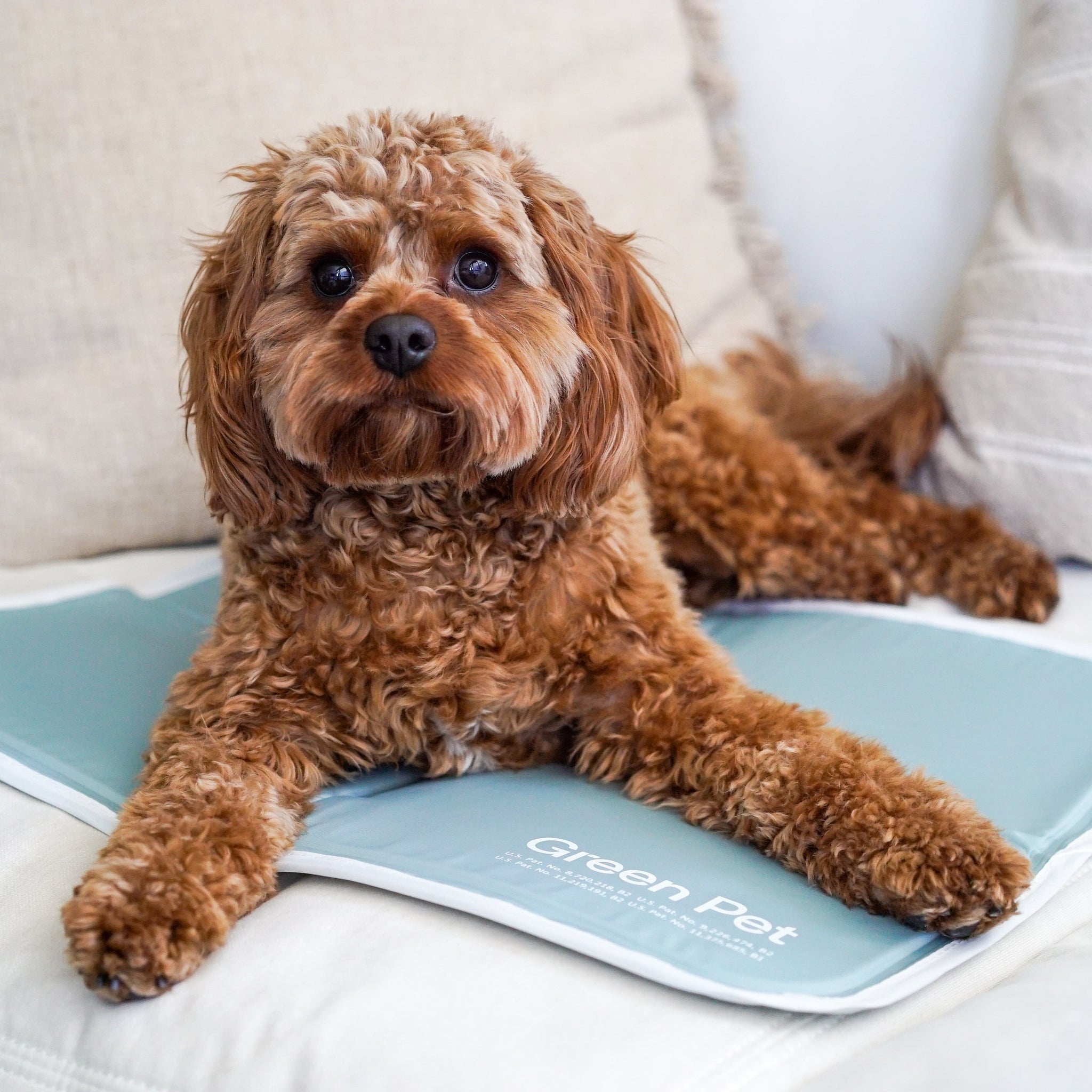 Cool Pet Pad - Image 2