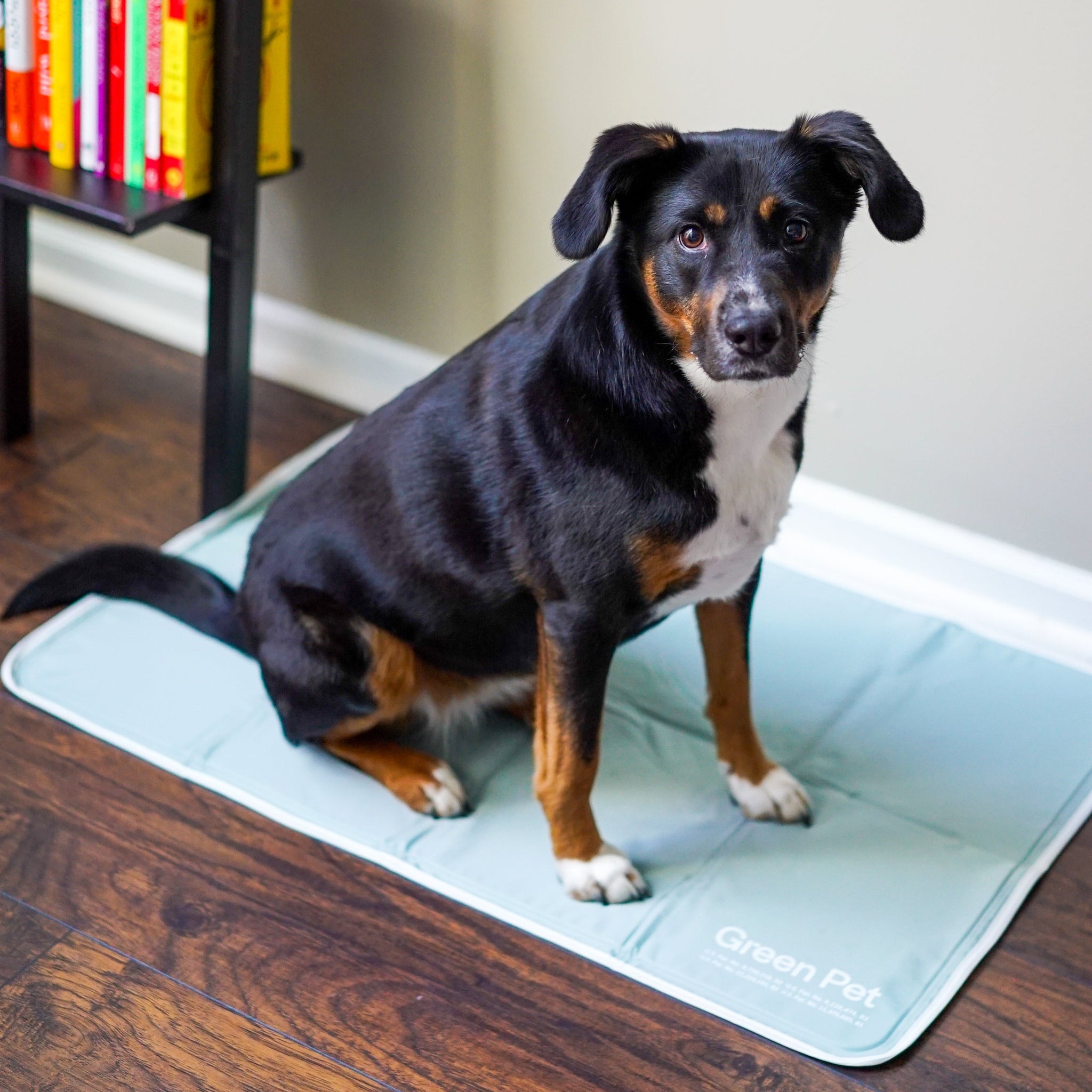 Cool Pet Pad - Image 6