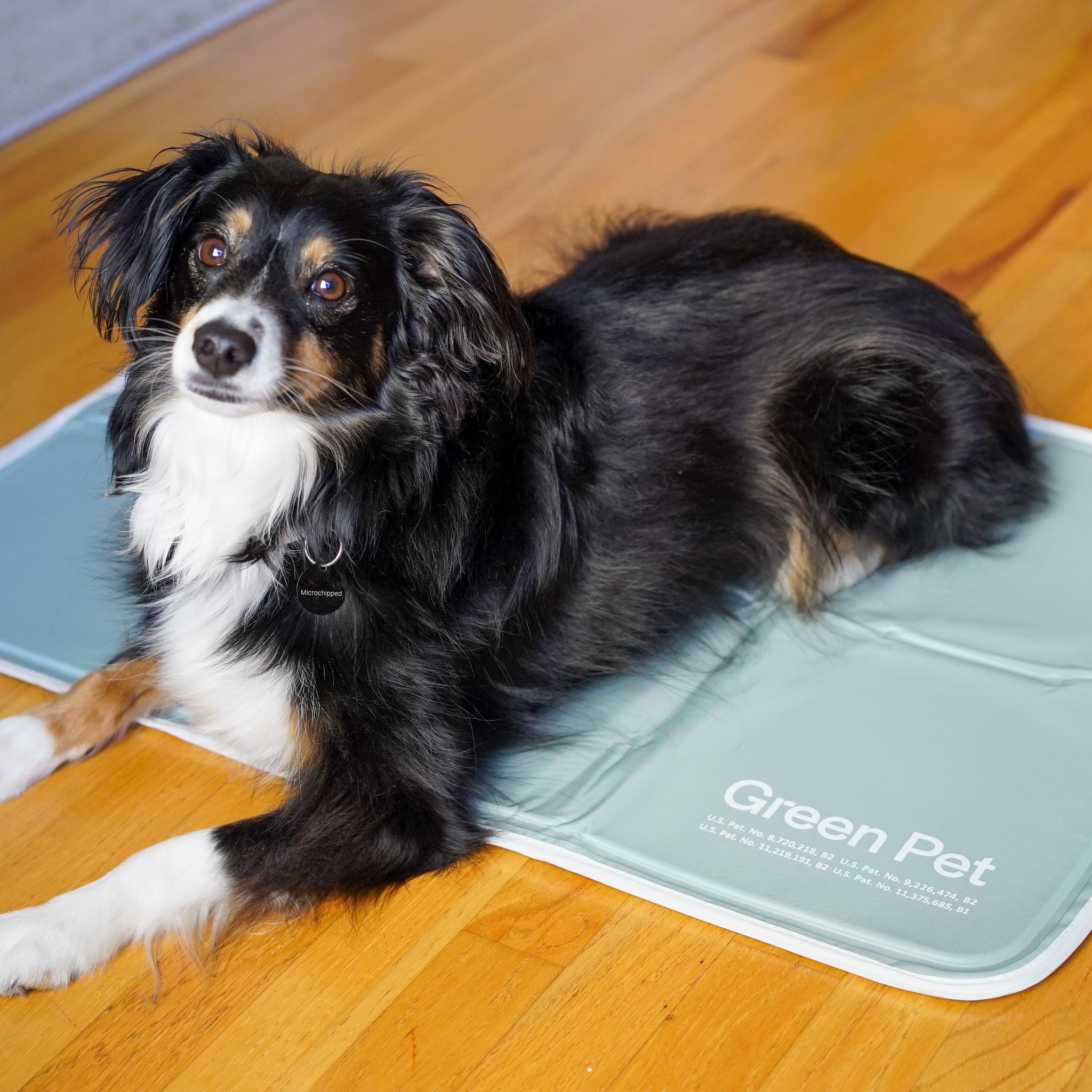 Cool Pet Pad - Image 5