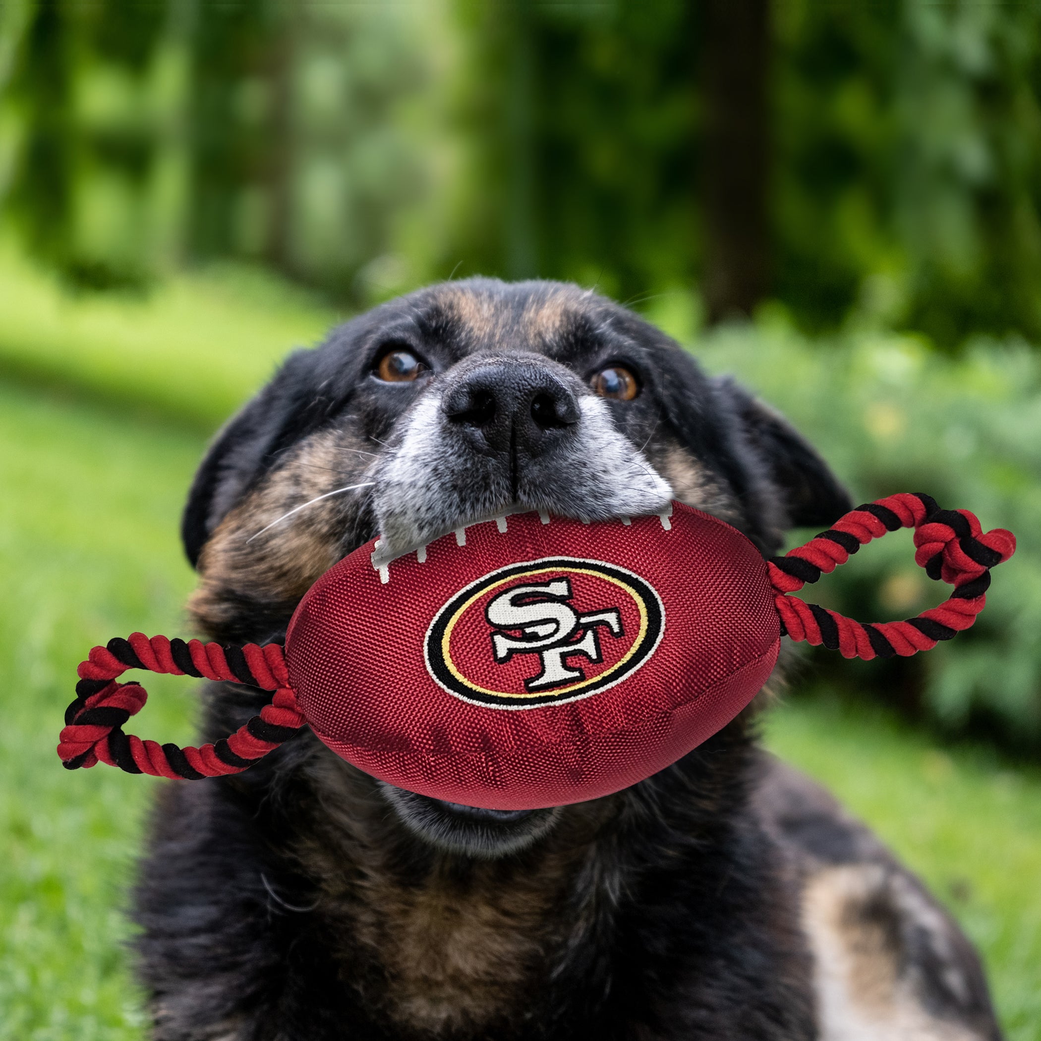 San Francisco 49ers Nylon Football - Image 2