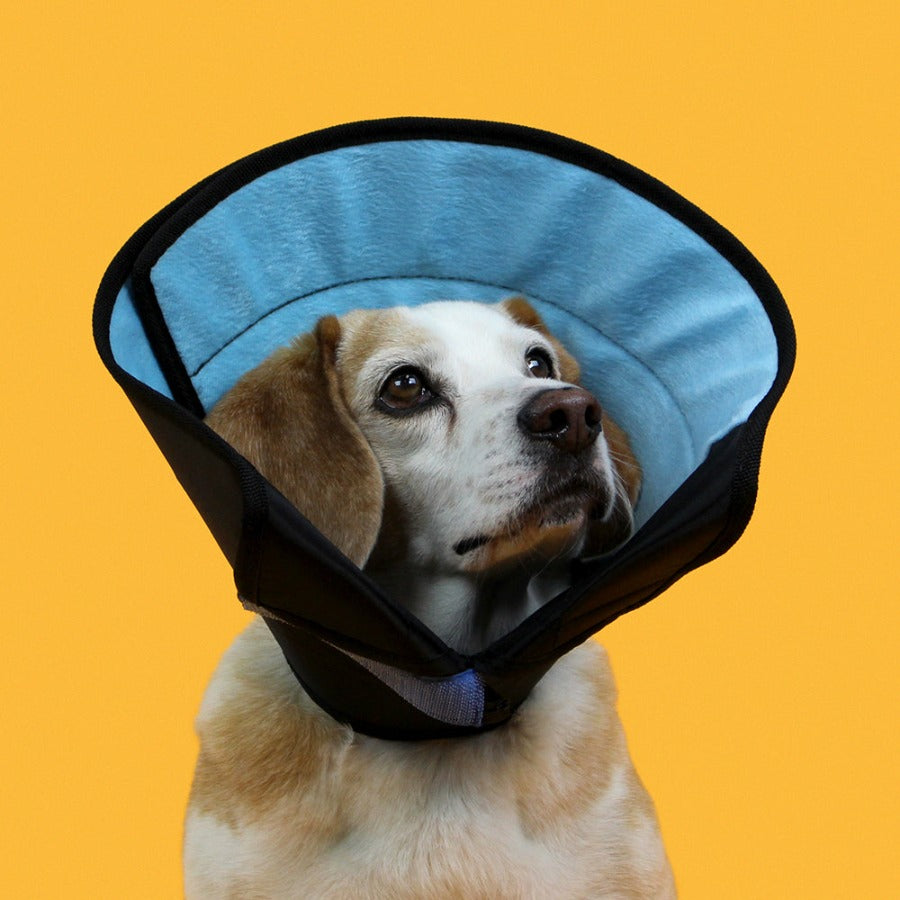 KVP CALMER™ Collar - Image 5