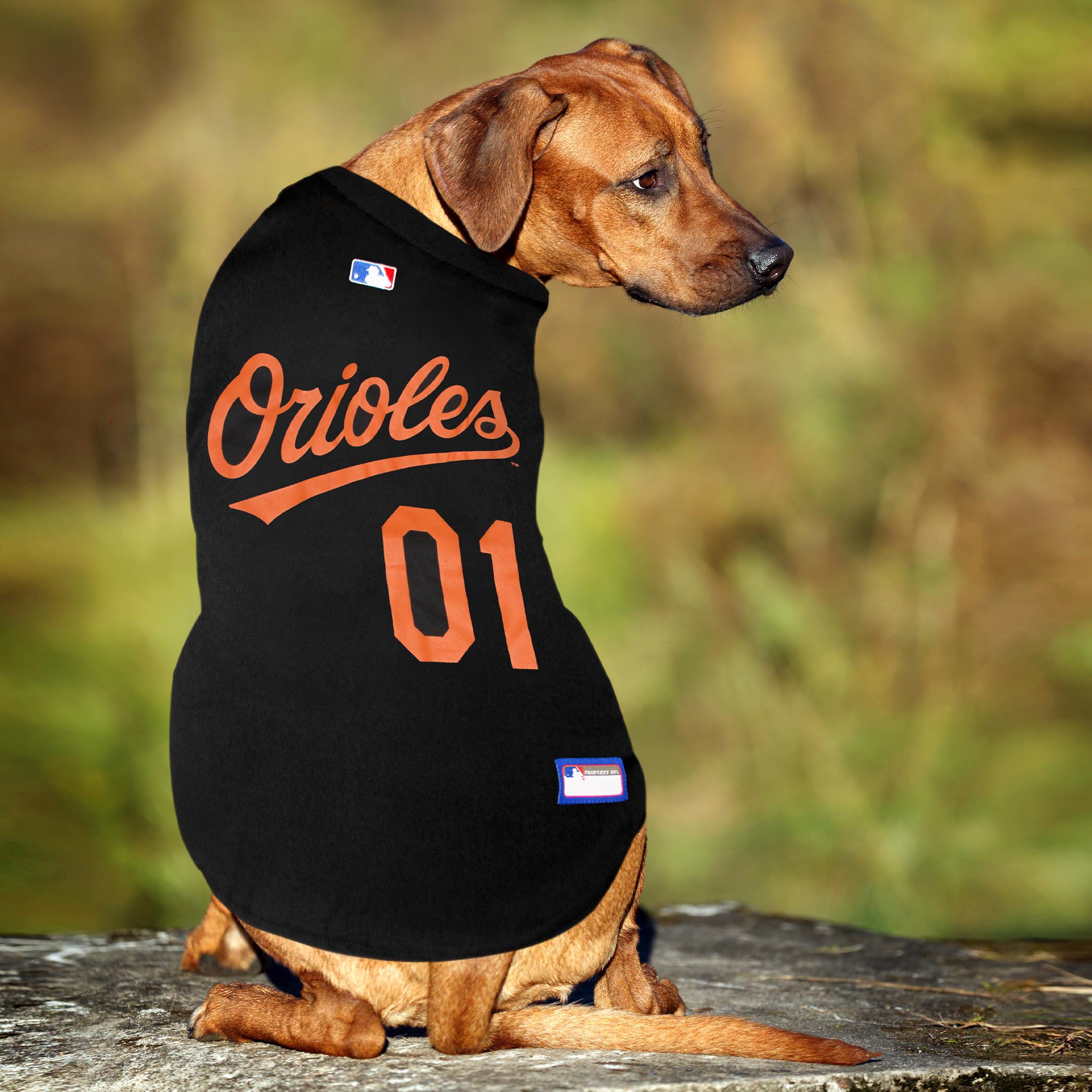 Baltimore Orioles Jersey
