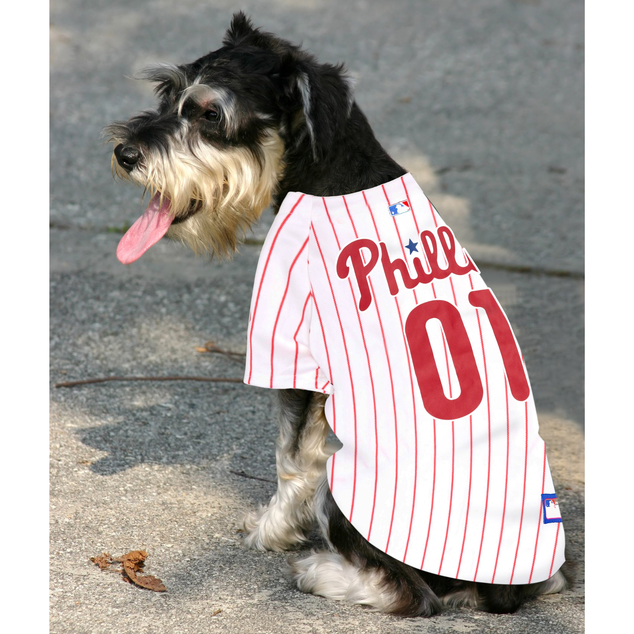 Philadelphia Phillies Dog Jersey - w/red stripes