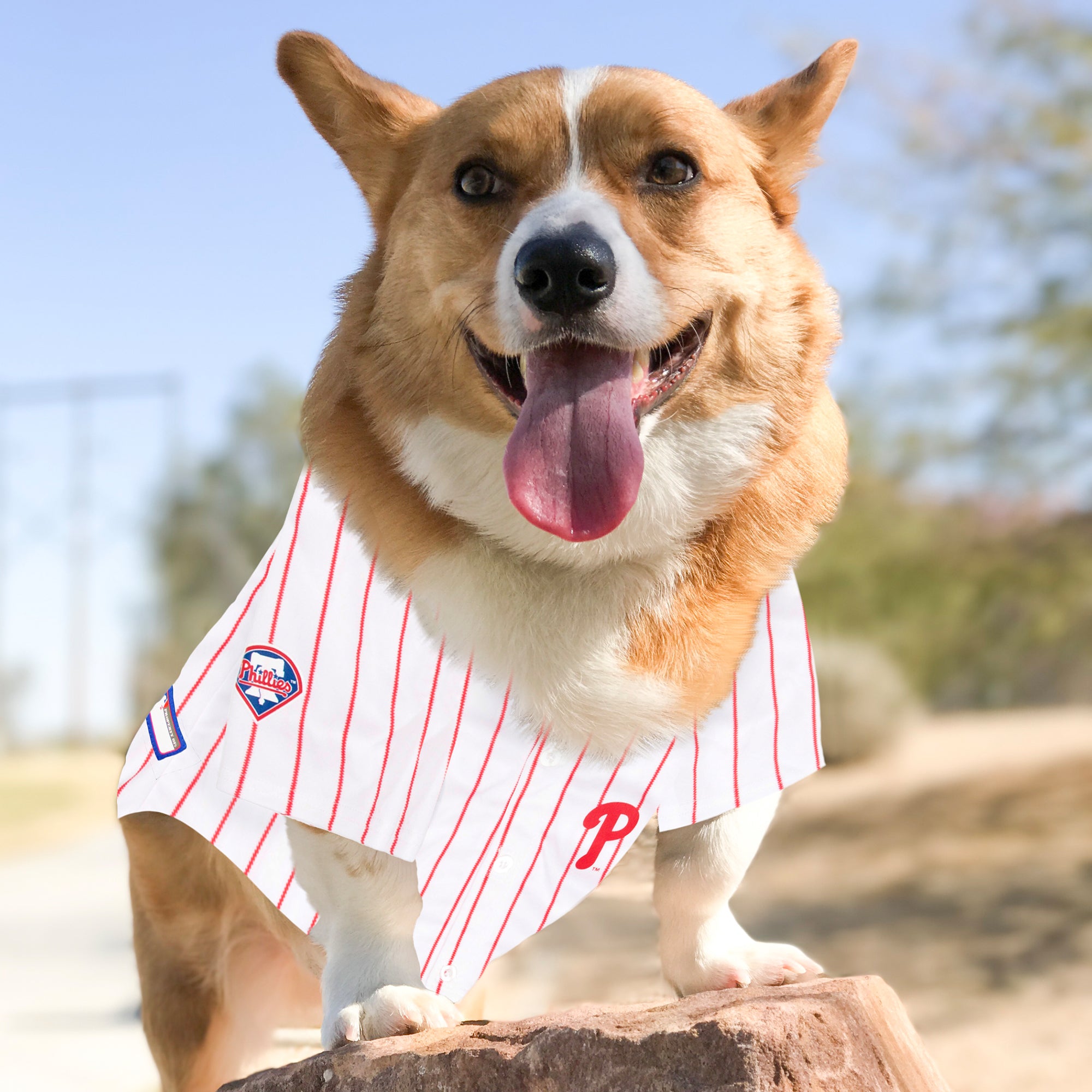 Philadelphia Phillies Dog Jersey - w/red stripes - Image 3
