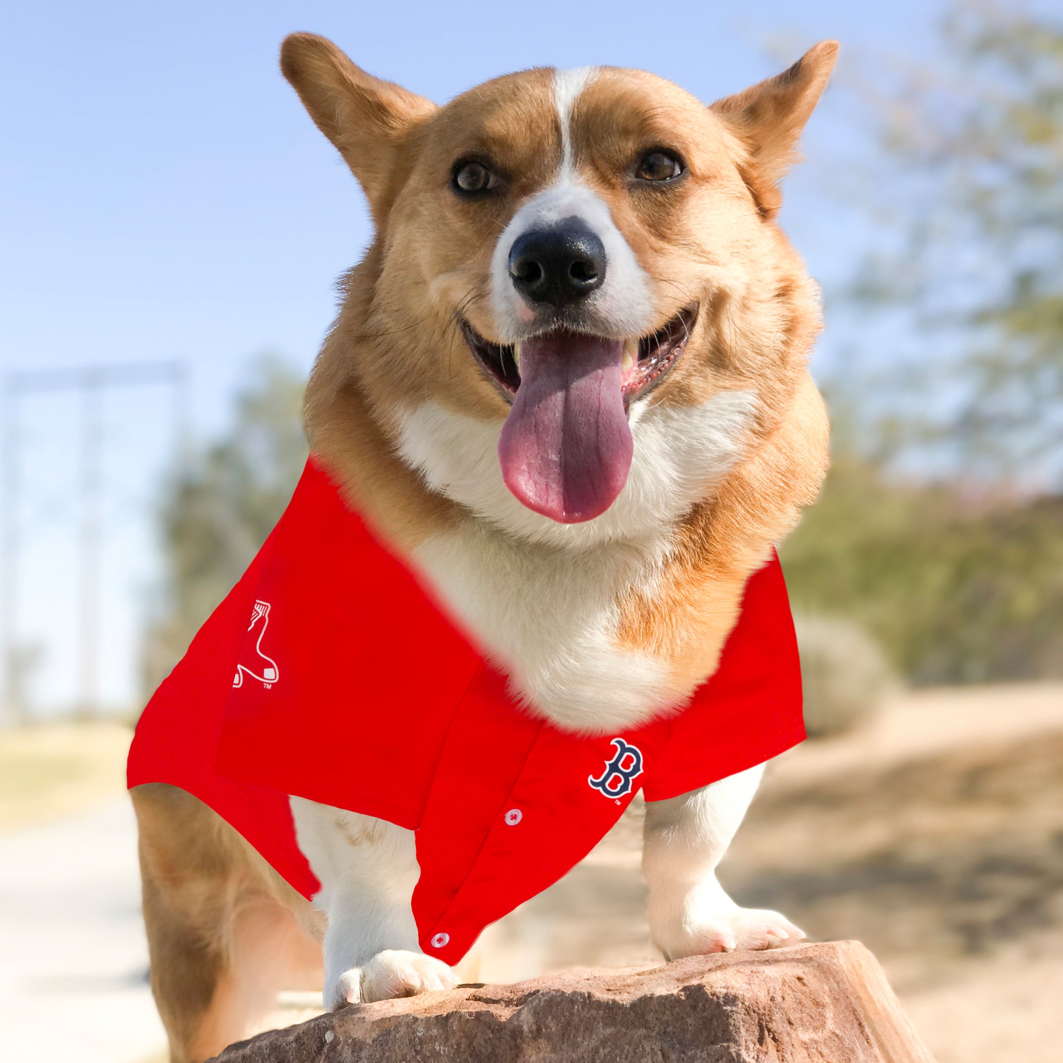 Boston Red Sox Jersey