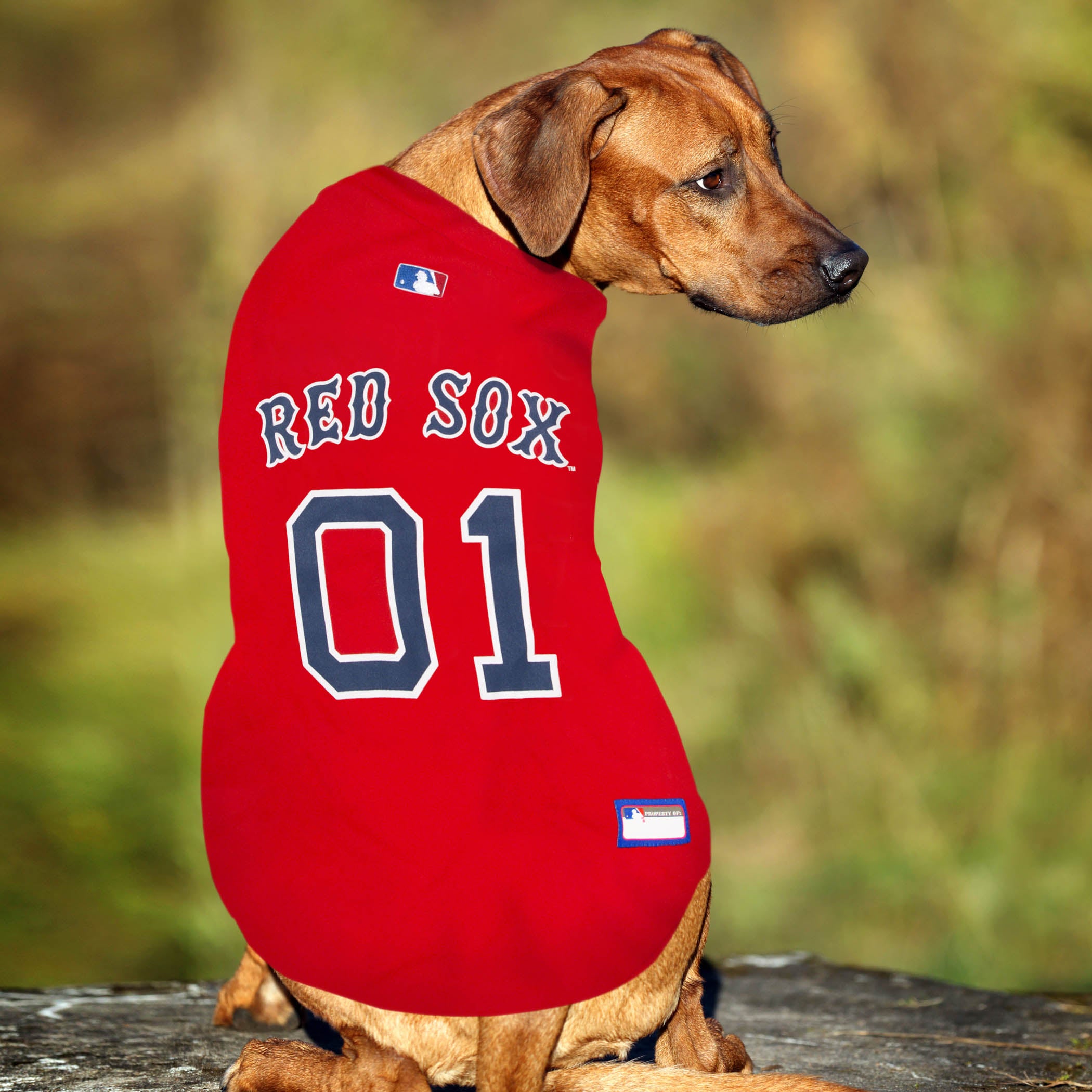 Boston Red Sox Jersey - Image 3