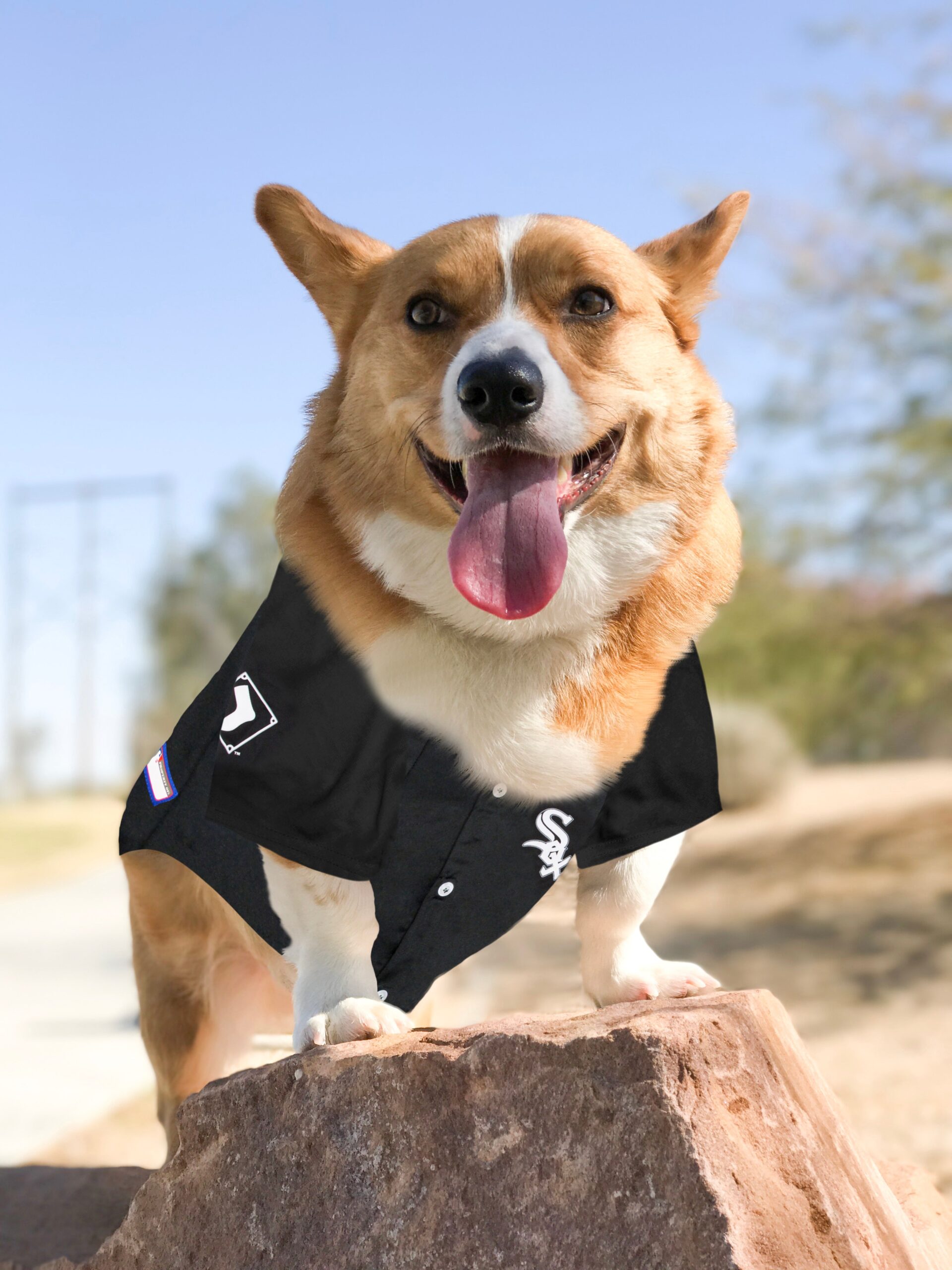 Chicago White Sox Dog Jersey - Image 2