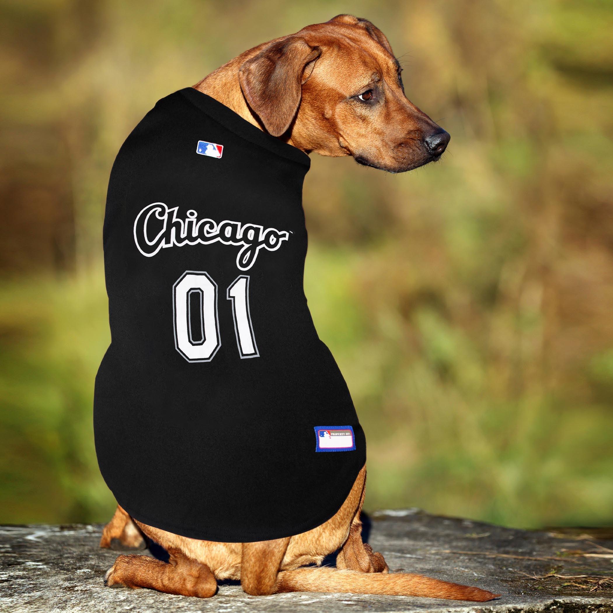 Chicago White Sox Dog Jersey