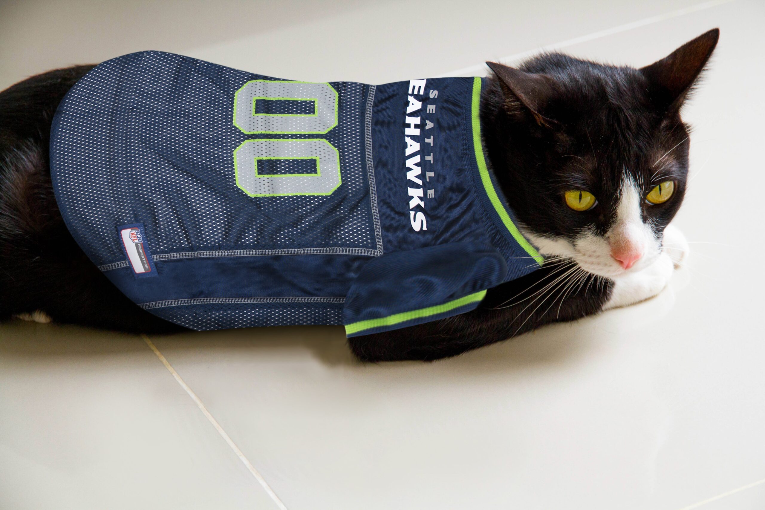 Seattle Seahawks Dog Jersey - NFL Dog Jerseys 3XL