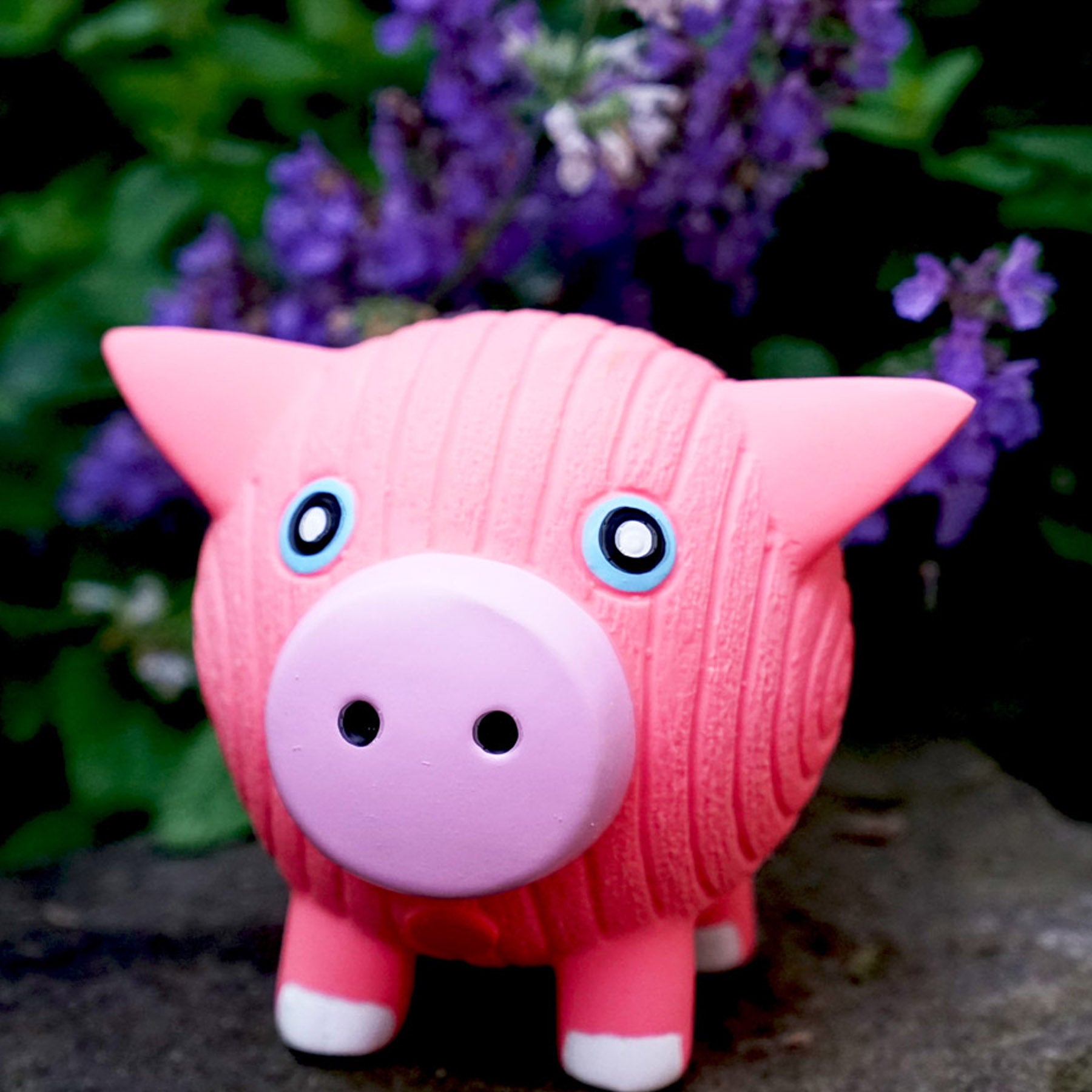 Lifestyle image of Hamlet the Pig sitting on a rock slab. Behind the Hamlet are purple leaves and bushes.