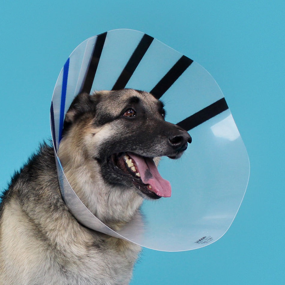 KVP EZ CLEAR™ Collar - Image 4