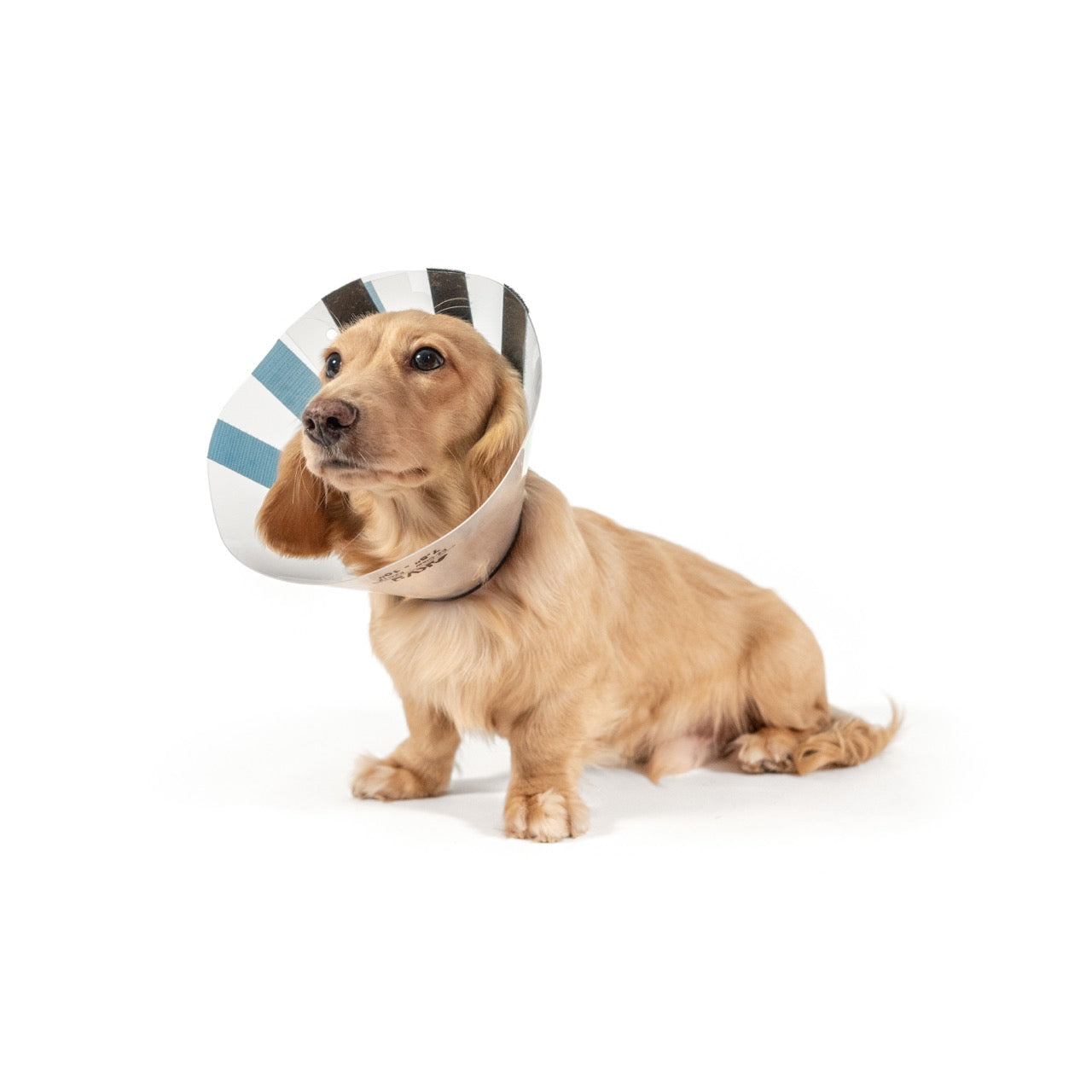 KVP EZ CLEAR™ Collar - Image 3