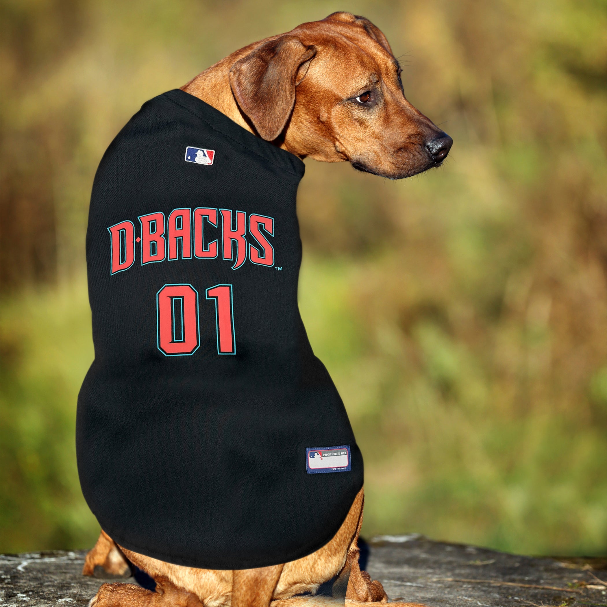 Arizona Diamondbacks Dog Jersey - Image 3