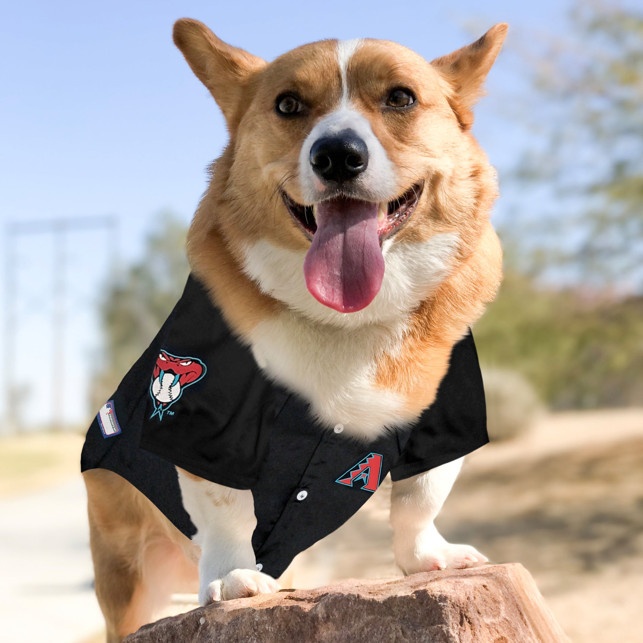 Arizona Diamondbacks Dog Jersey - Image 4