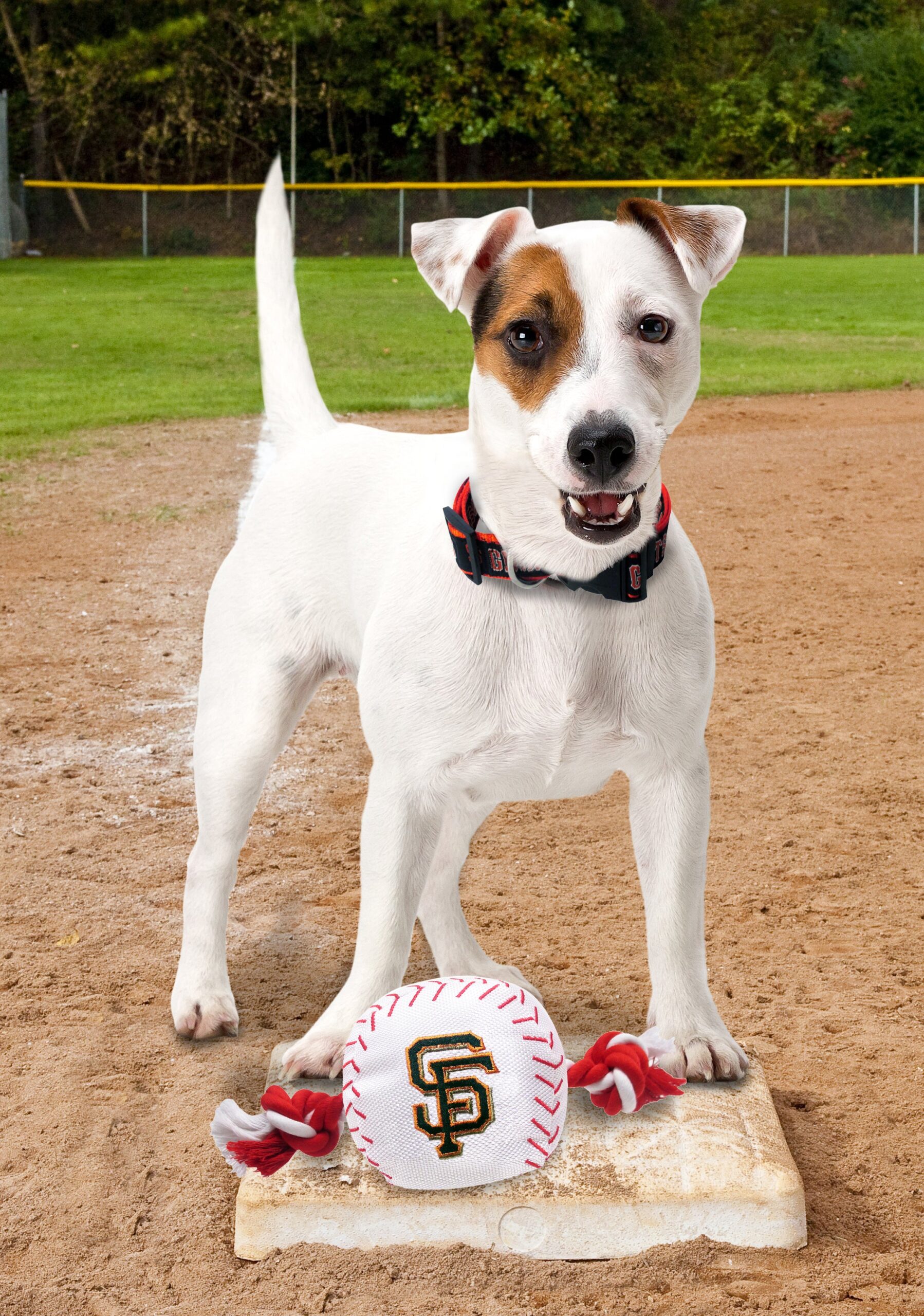 San Francisco Giants Baseball Toy - Nylon w/rope