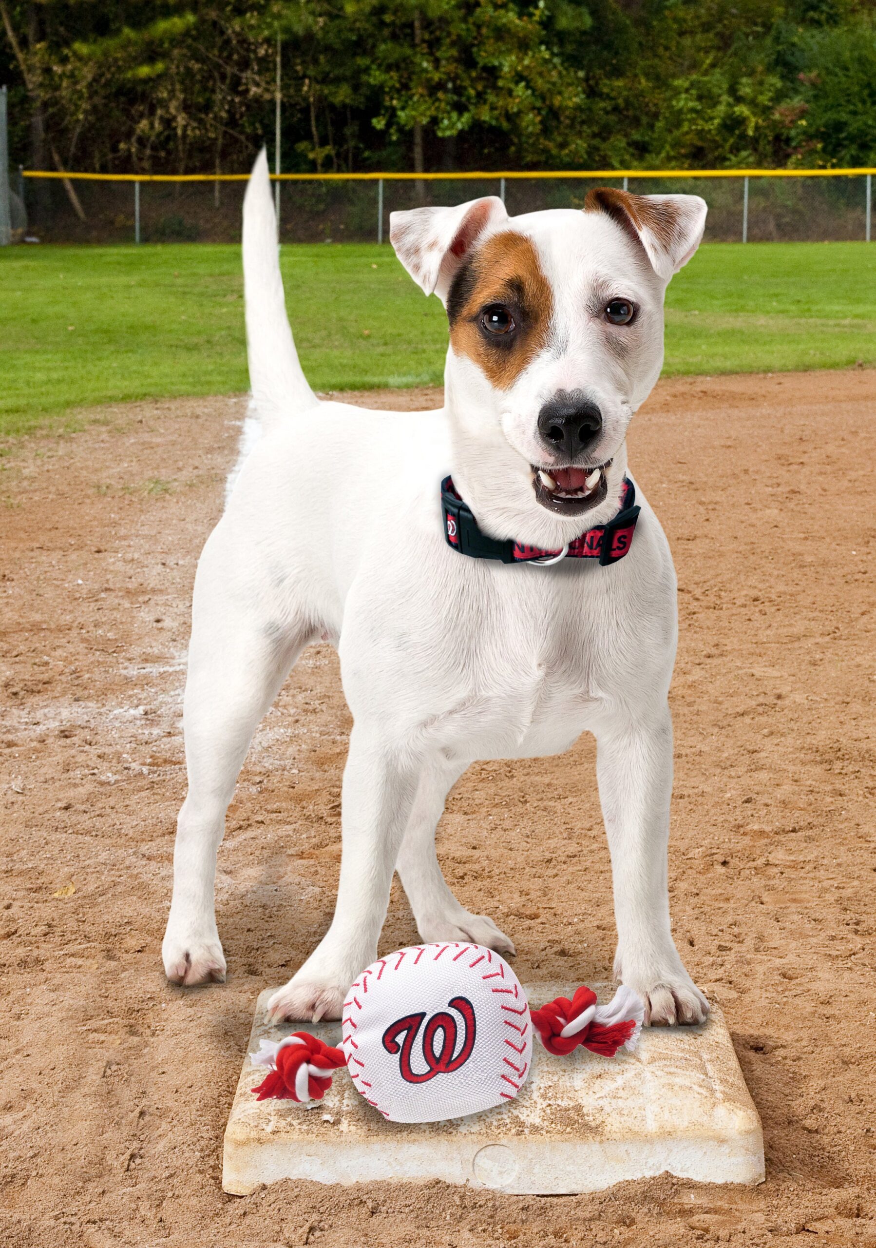 Washington Nationals Baseball Toy - Nylon w/rope - Image 3
