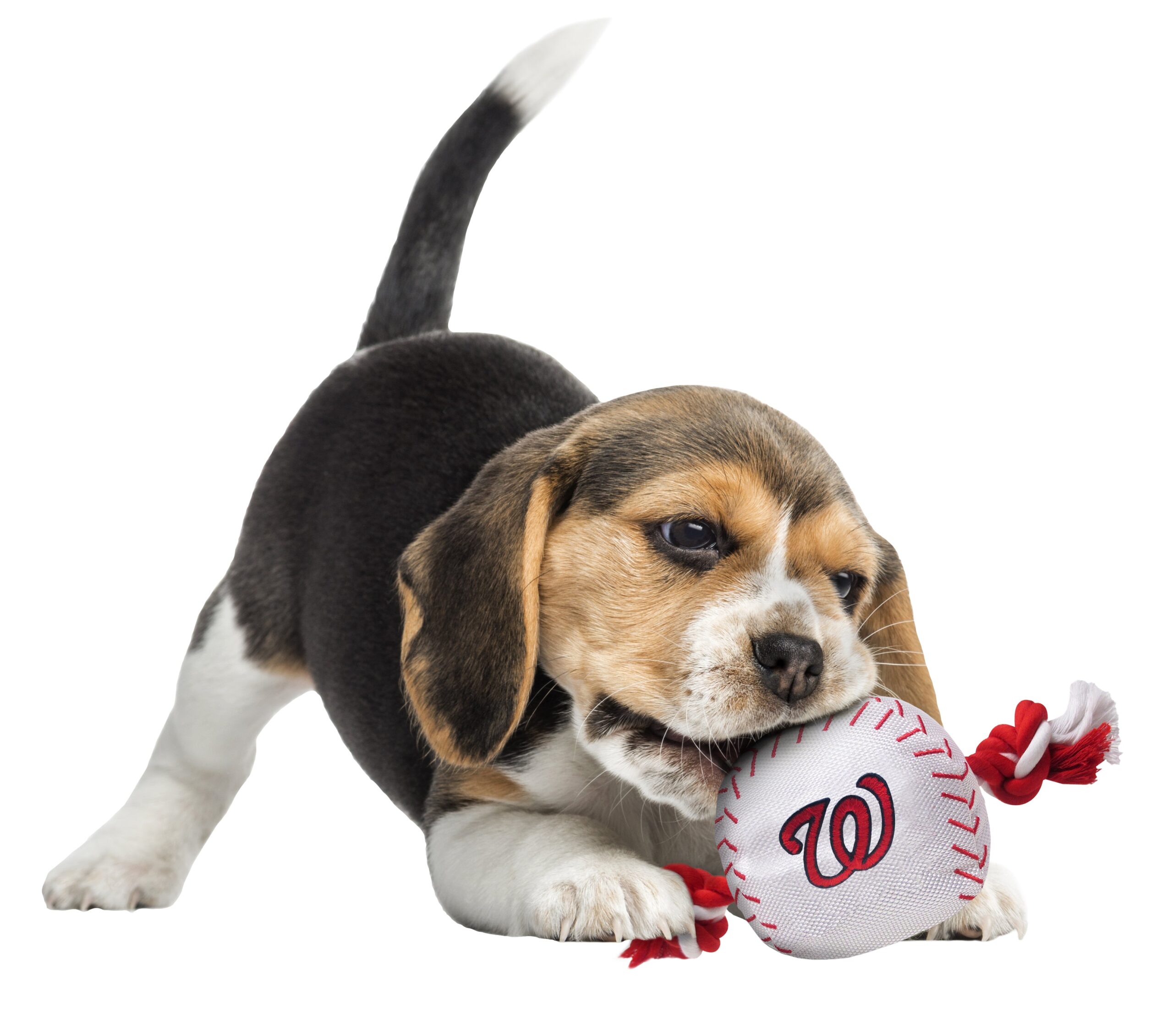 Washington Nationals Baseball Toy - Nylon w/rope - Image 2
