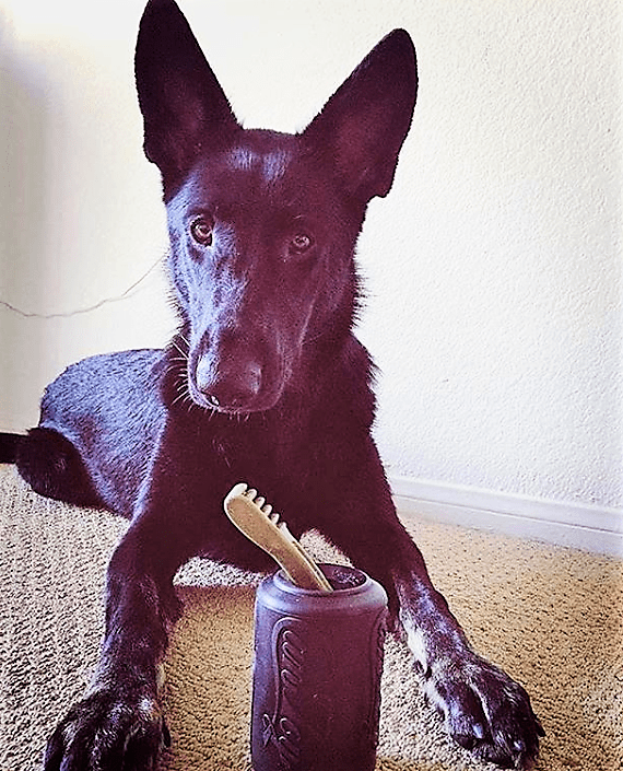 SodaPup Magnum Can Toy Rubber Dog Chew Extreme Chewers | Treat Dispenser USA Made