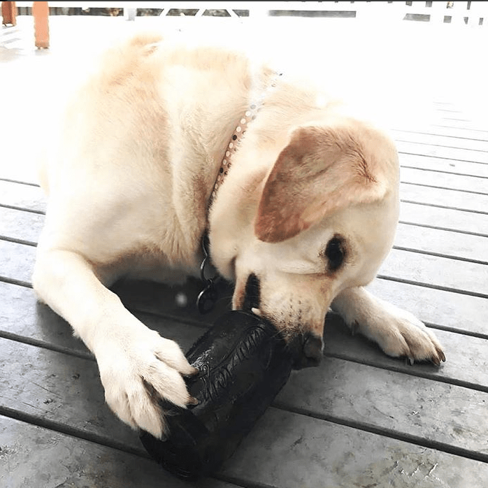 SodaPup Magnum Can Toy Rubber Dog Chew Extreme Chewers | Treat Dispenser USA Made