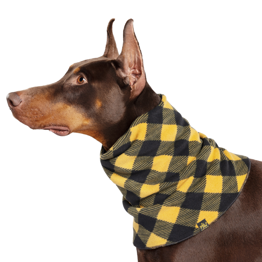 Snood