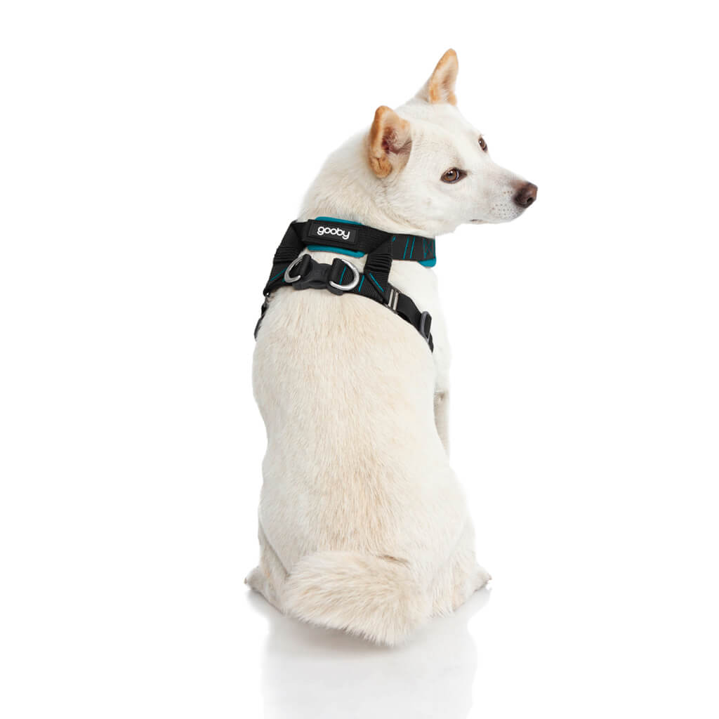 Convertible Z Harness (#04204) - Image 7