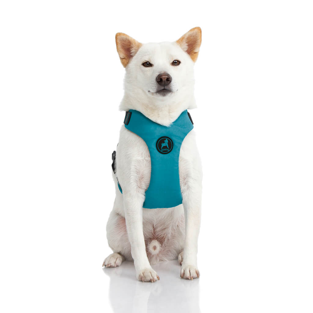 Convertible Z Harness (#04204) - Image 5